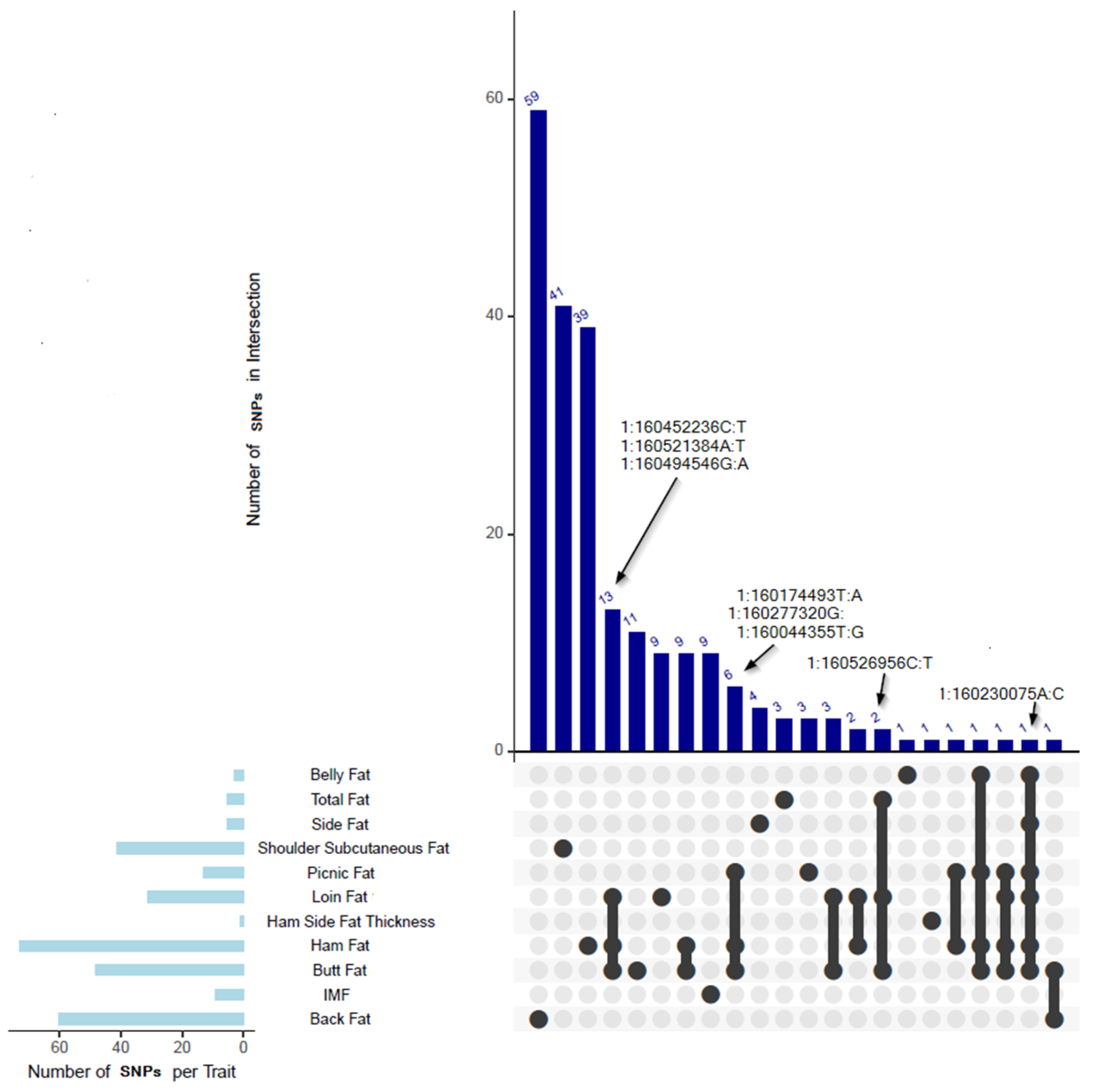Animals 15 01754 g003