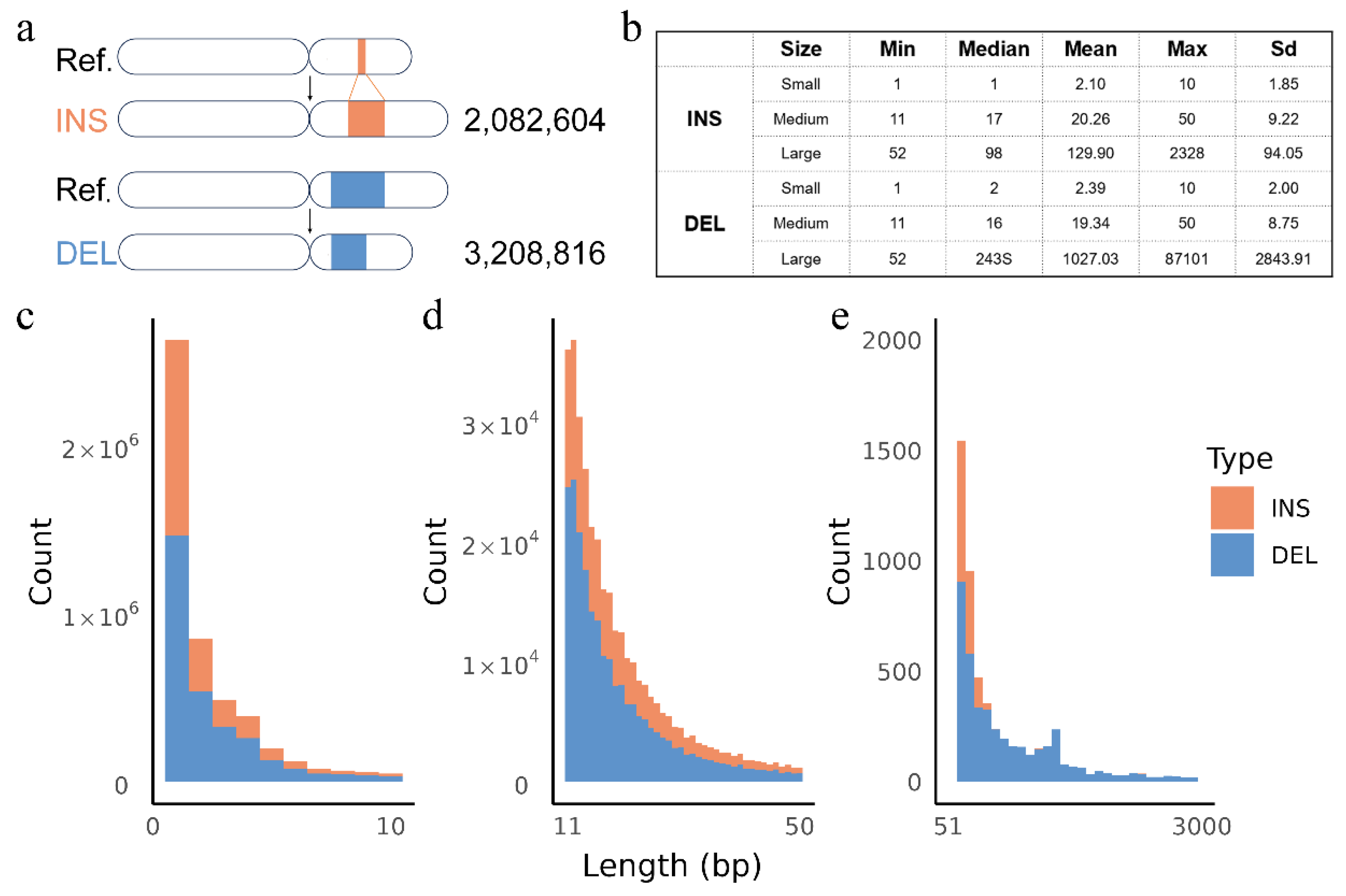 Animals 15 01755 g002