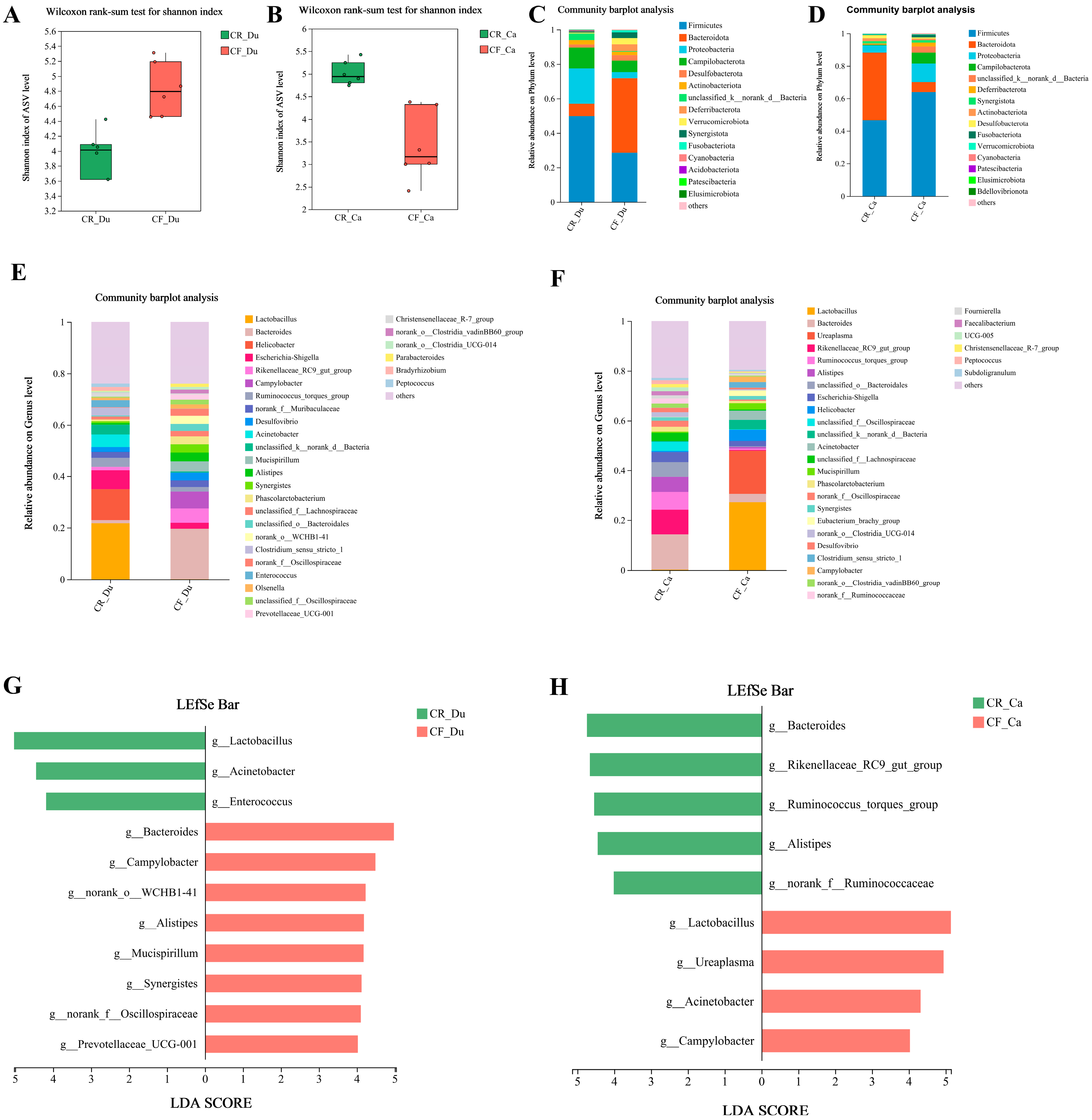 Animals 15 01758 g006