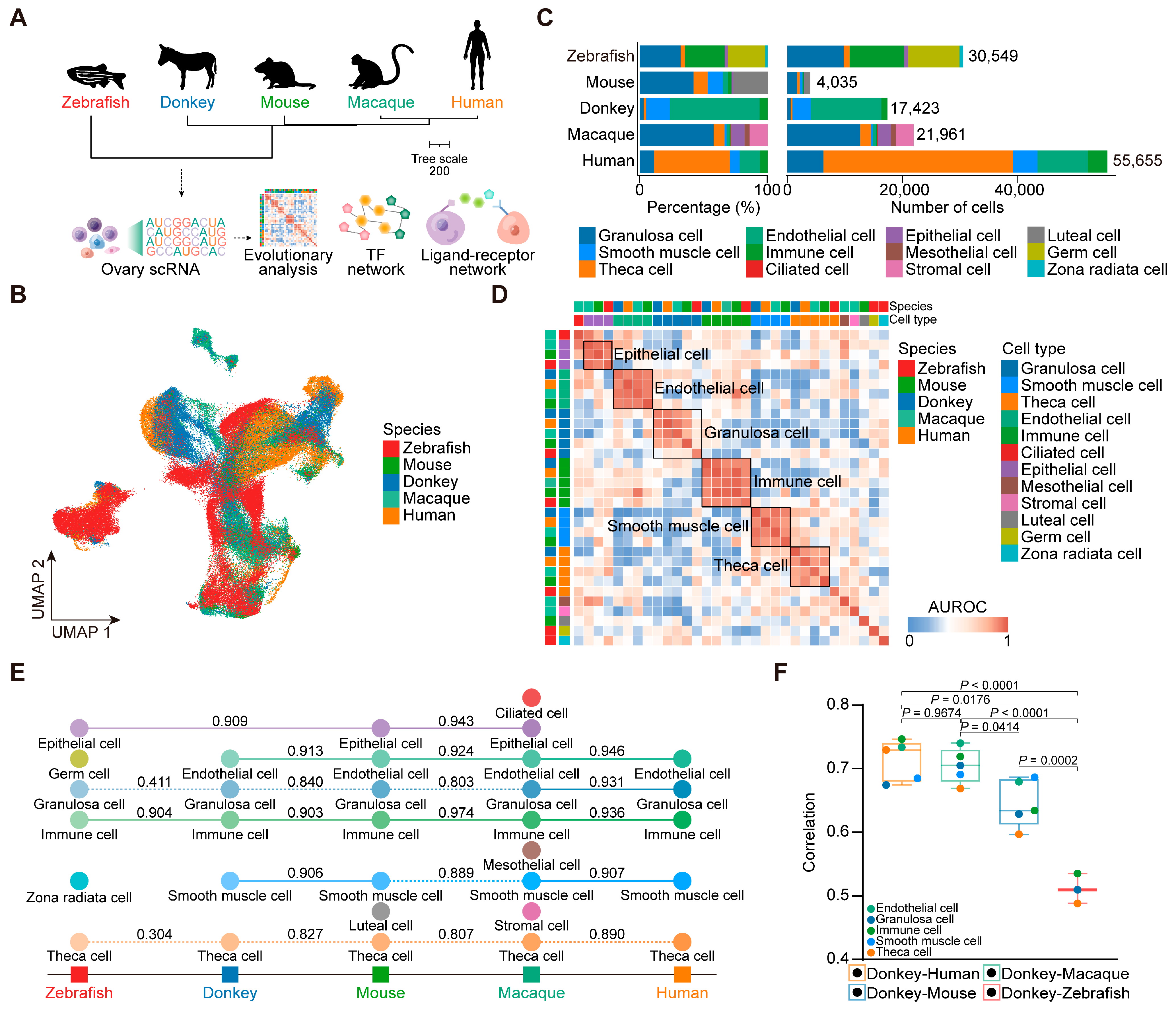 Animals 15 01761 g001