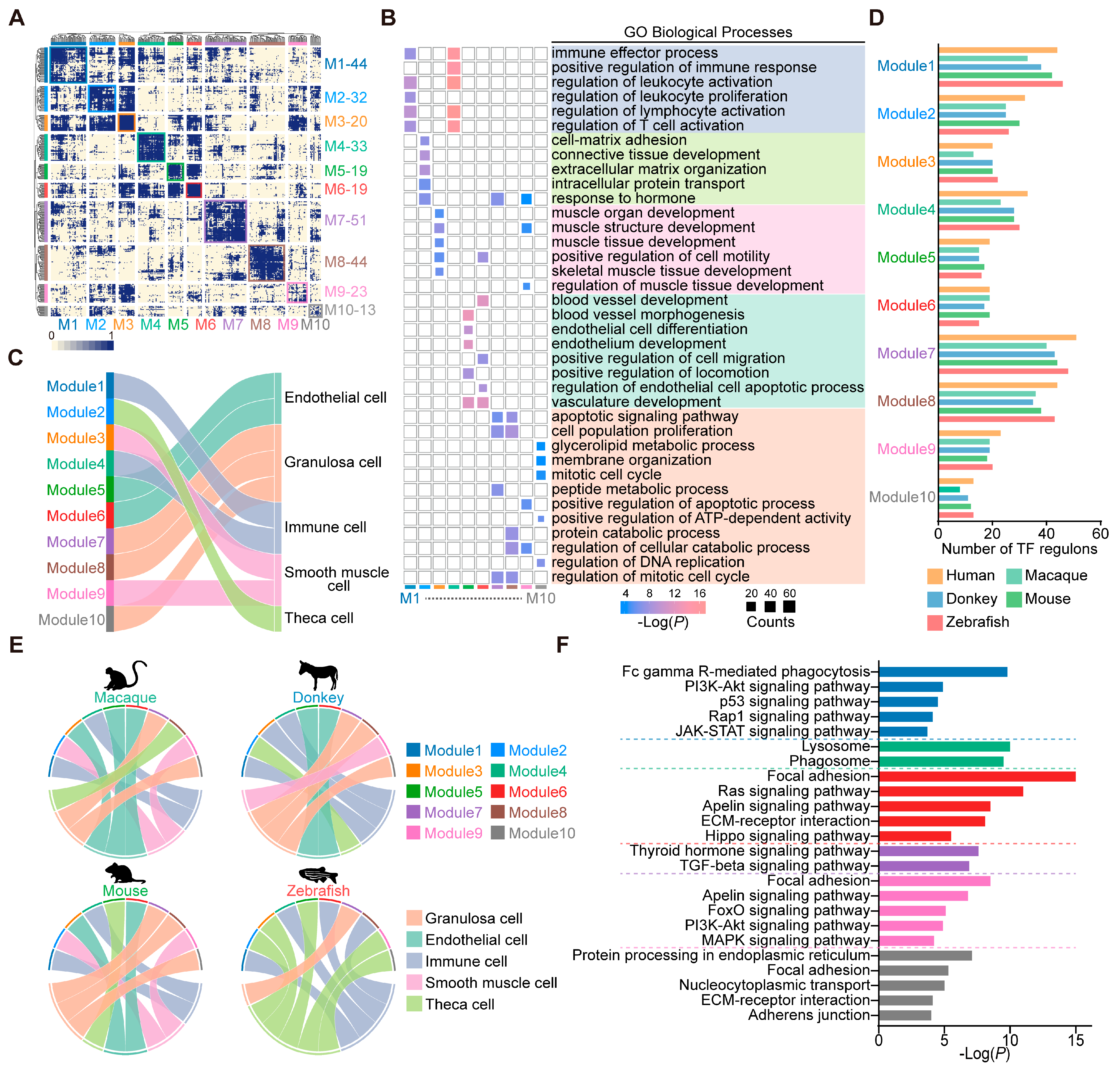 Animals 15 01761 g002