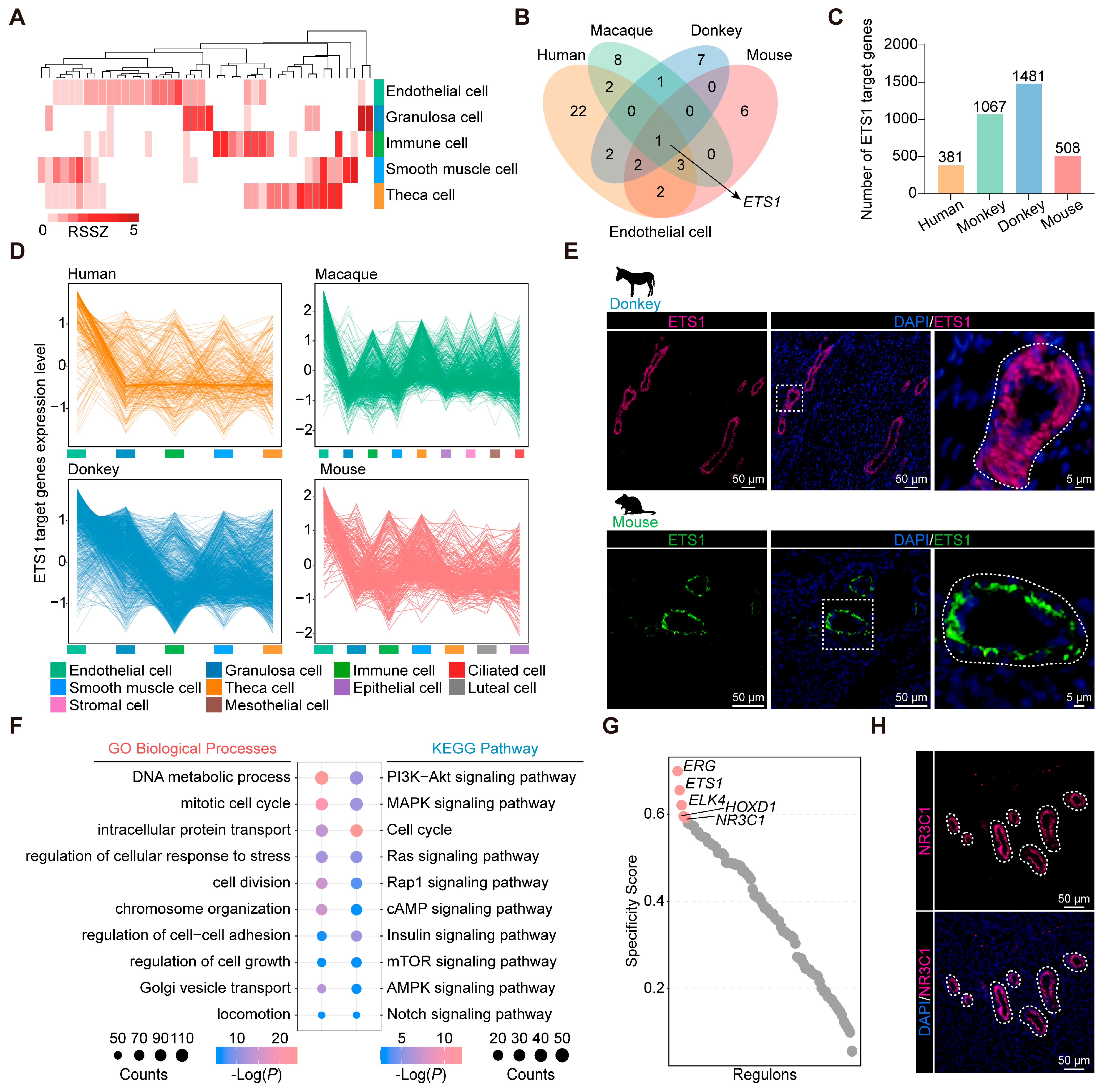 Animals 15 01761 g003