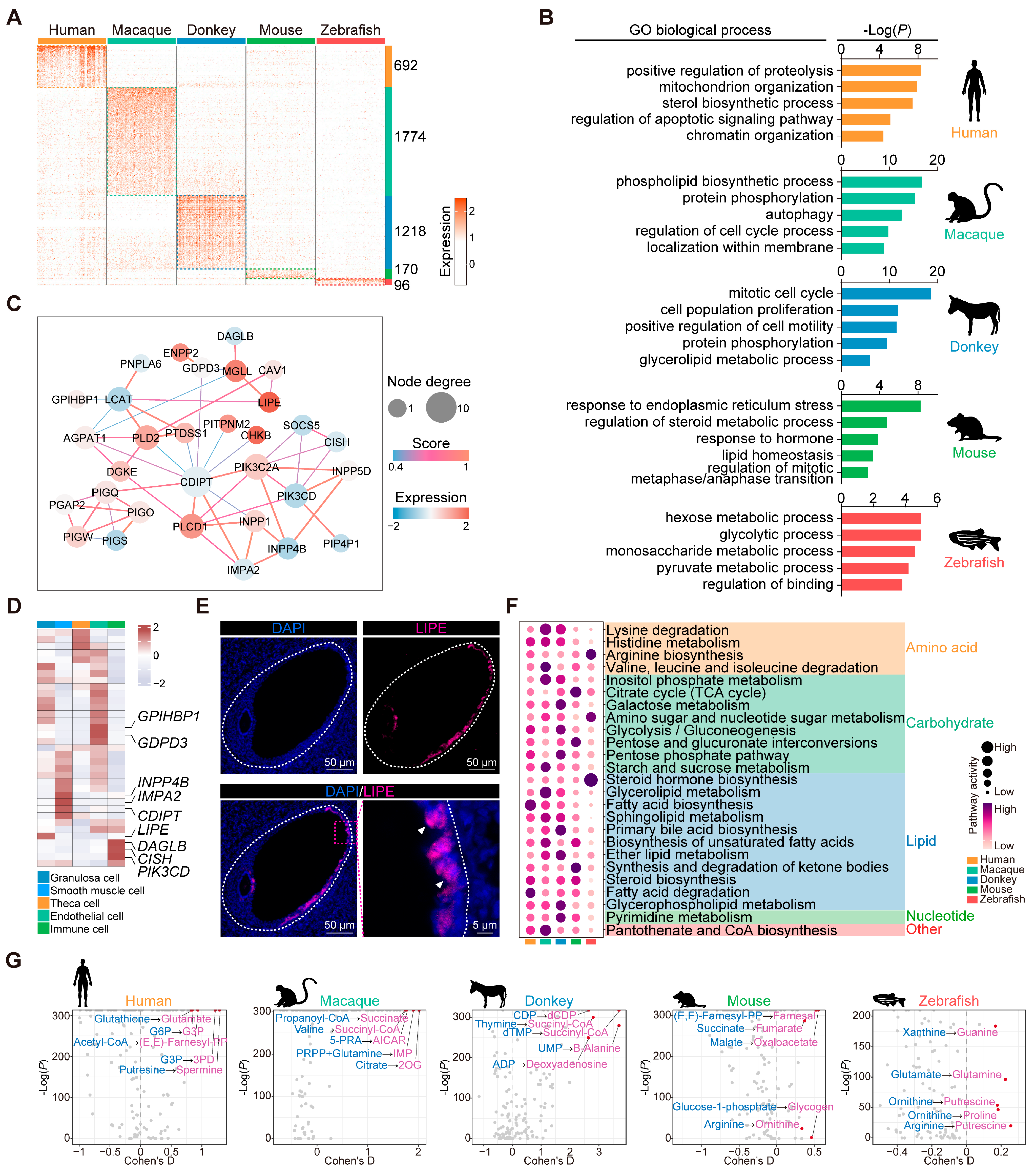Animals 15 01761 g005