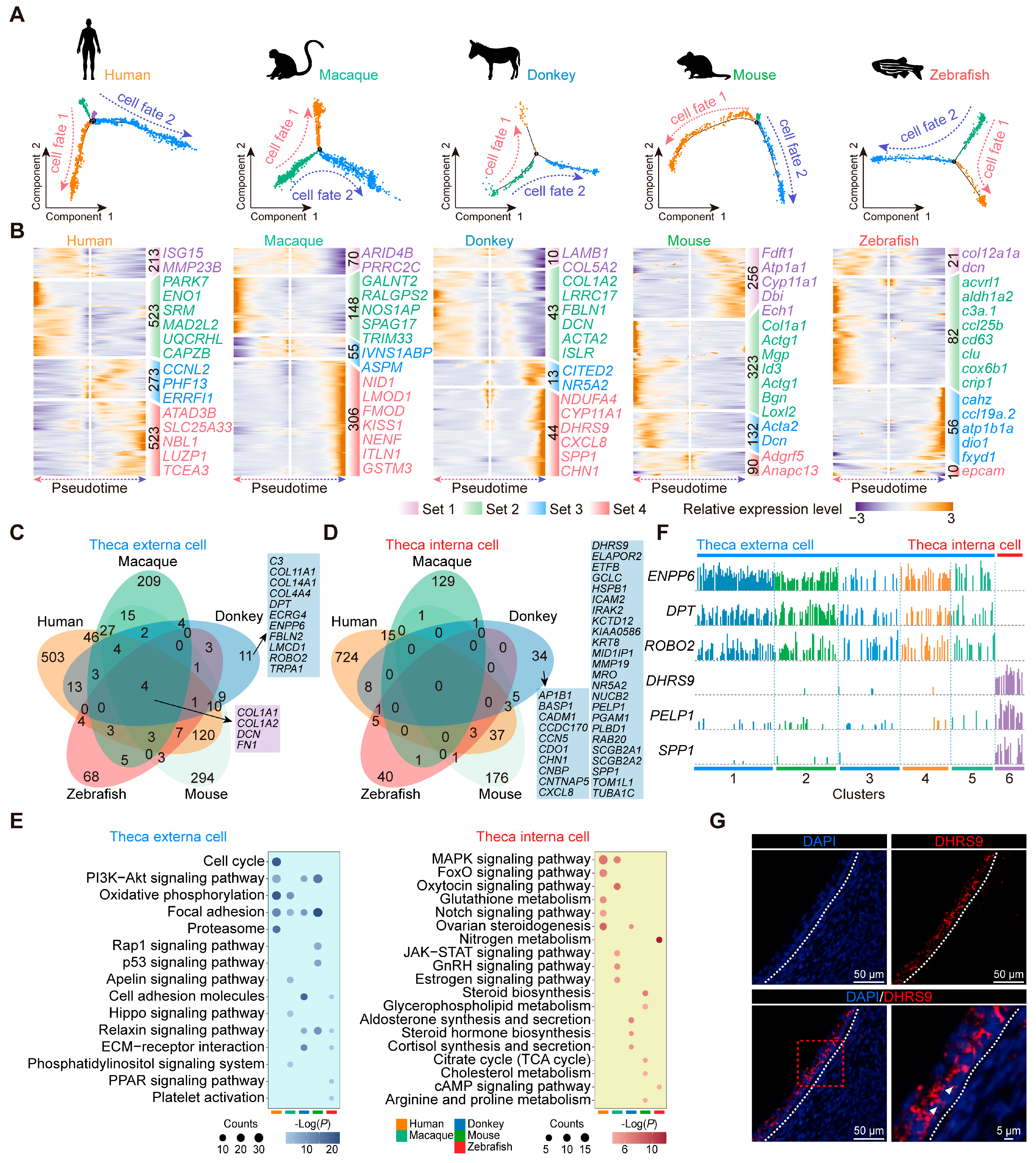 Animals 15 01761 g006