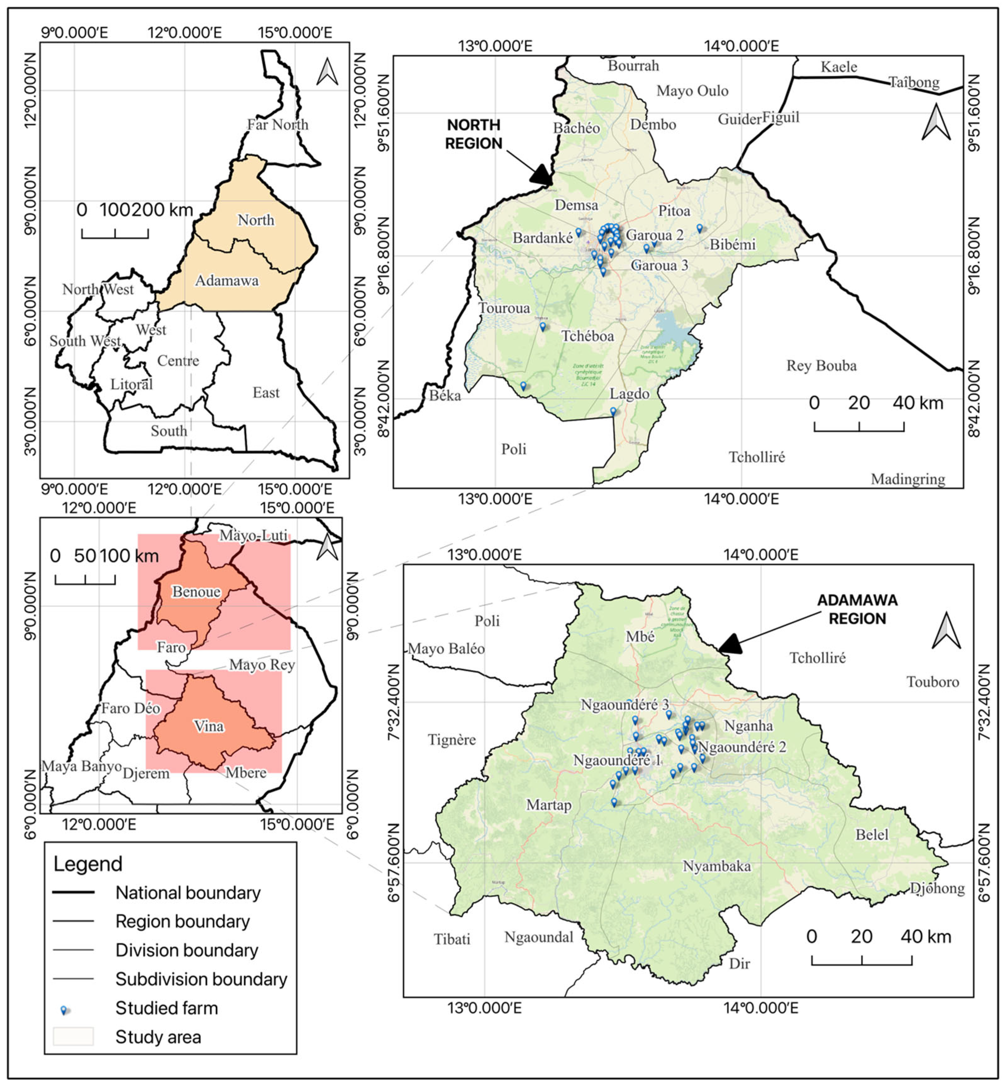 Animals 15 01771 g001