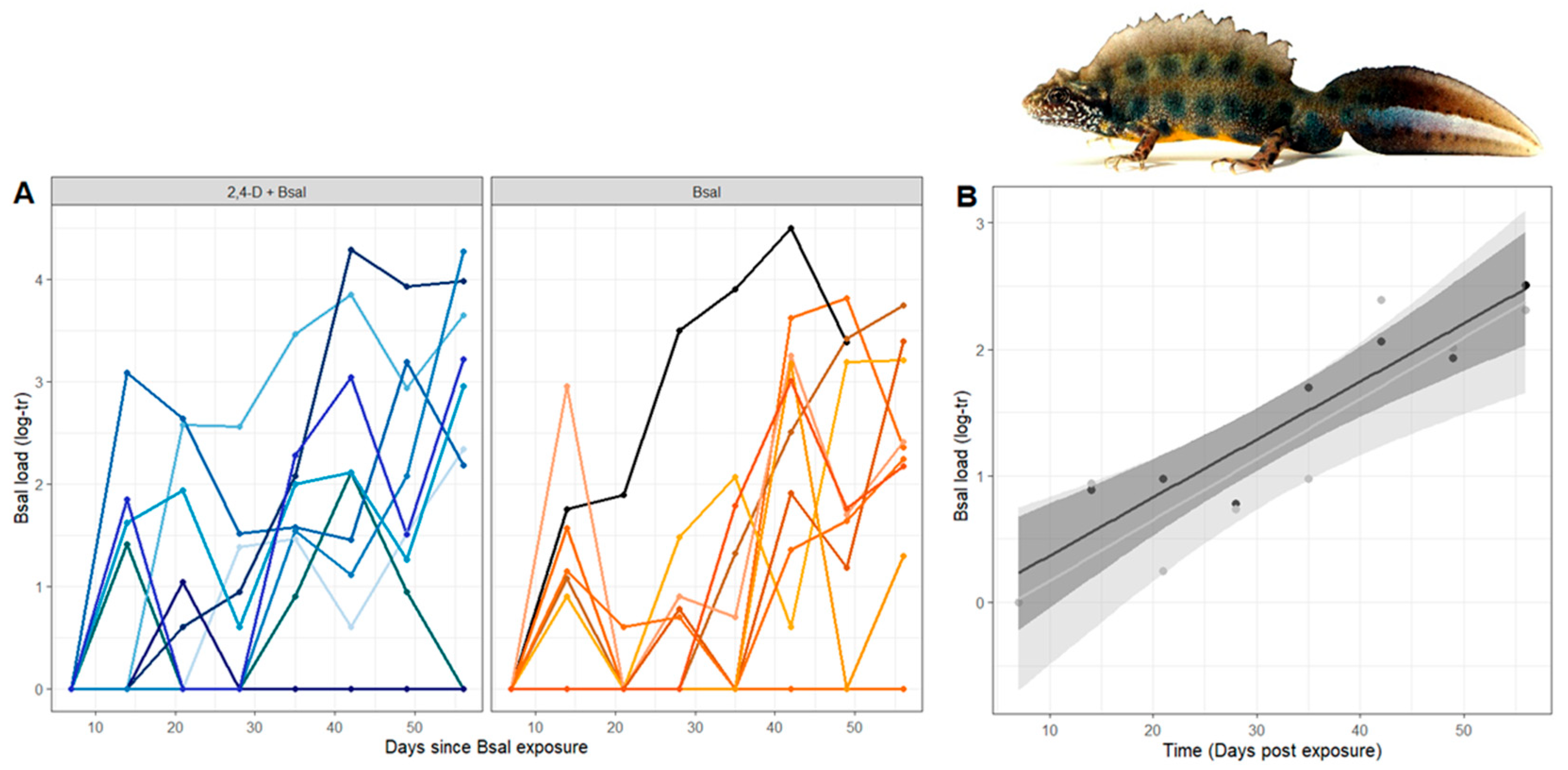 Animals 15 01777 g001