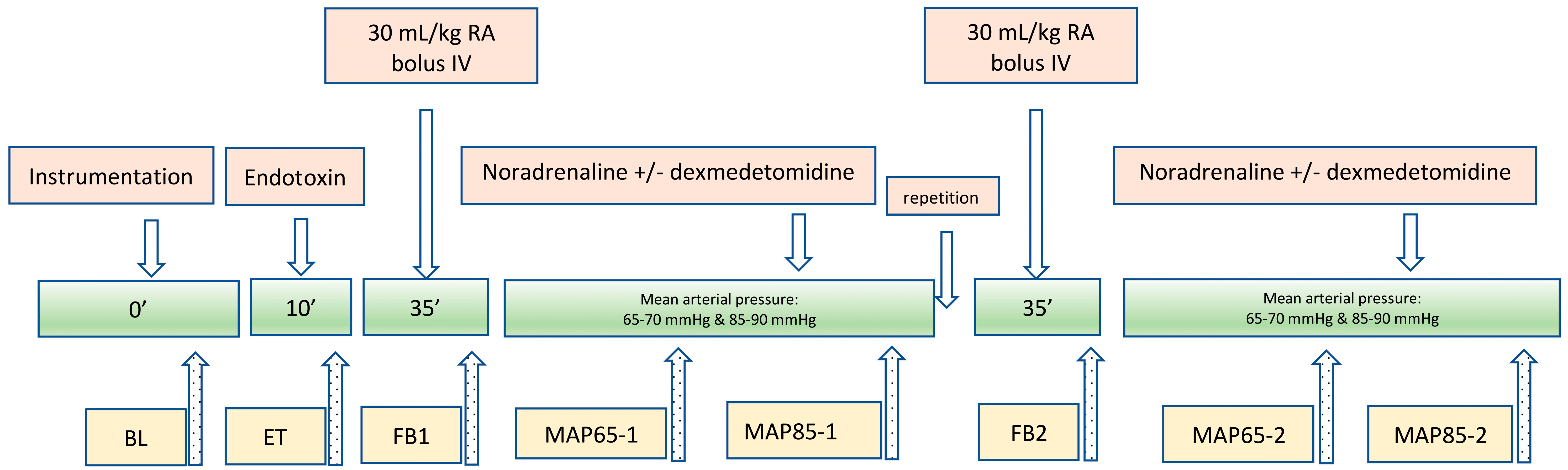 Animals 15 01779 g001
