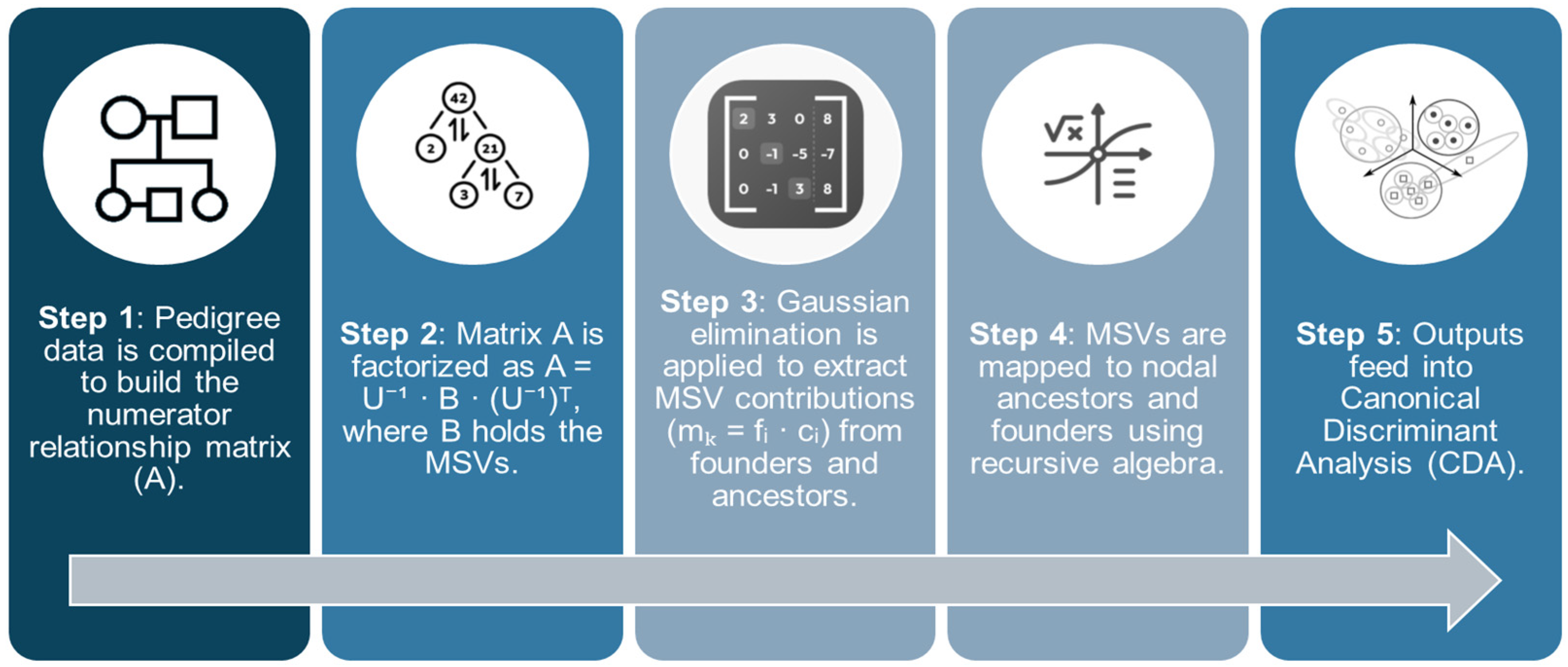 Animals 15 01781 g001