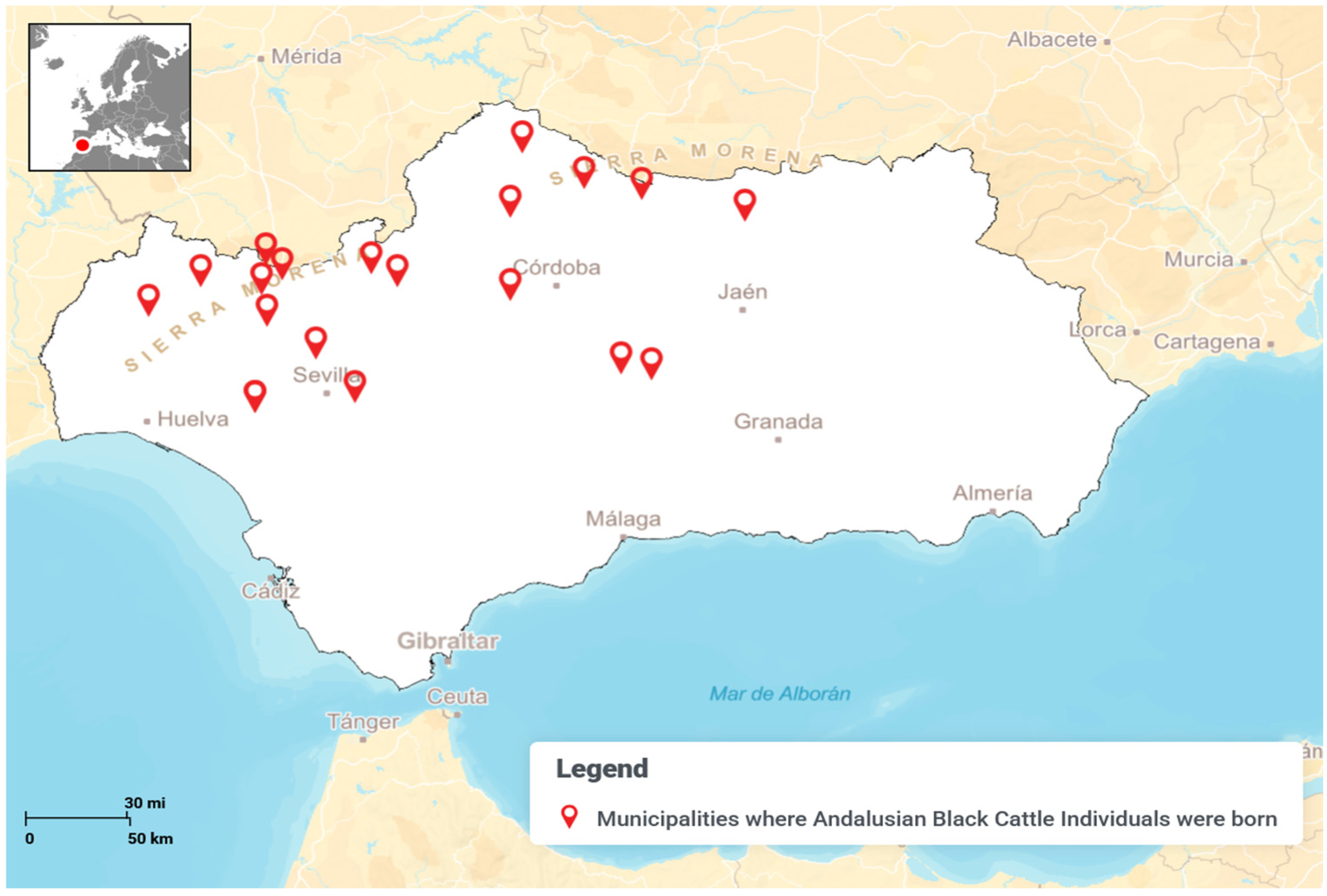 Animals 15 01781 g002