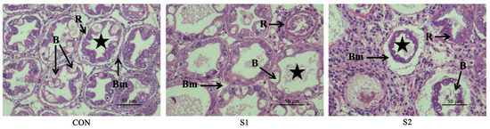公式写真Ｂ Toxic Effects of Acute Water Selenium Exposure on