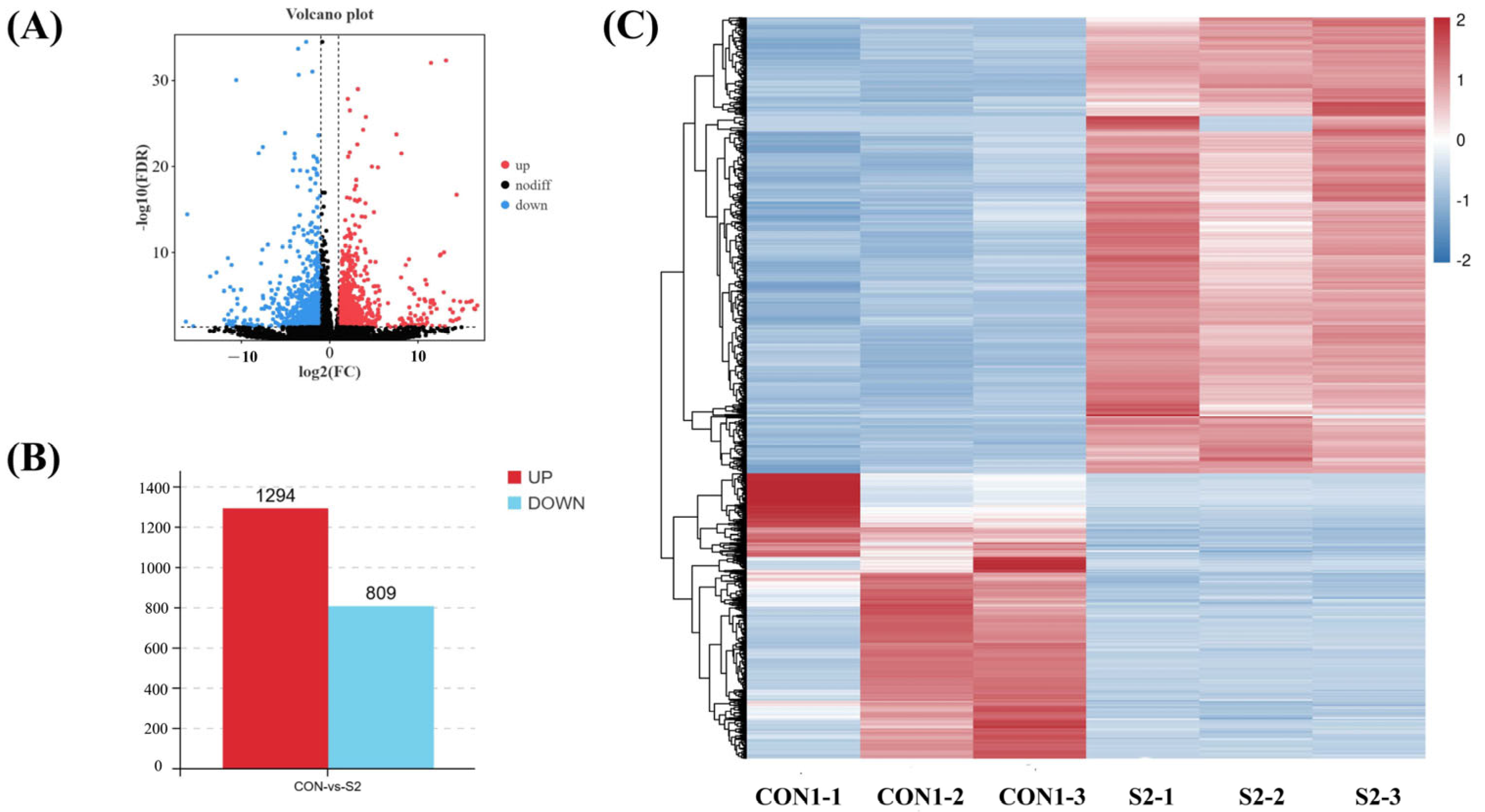 Animals 15 01792 g005
