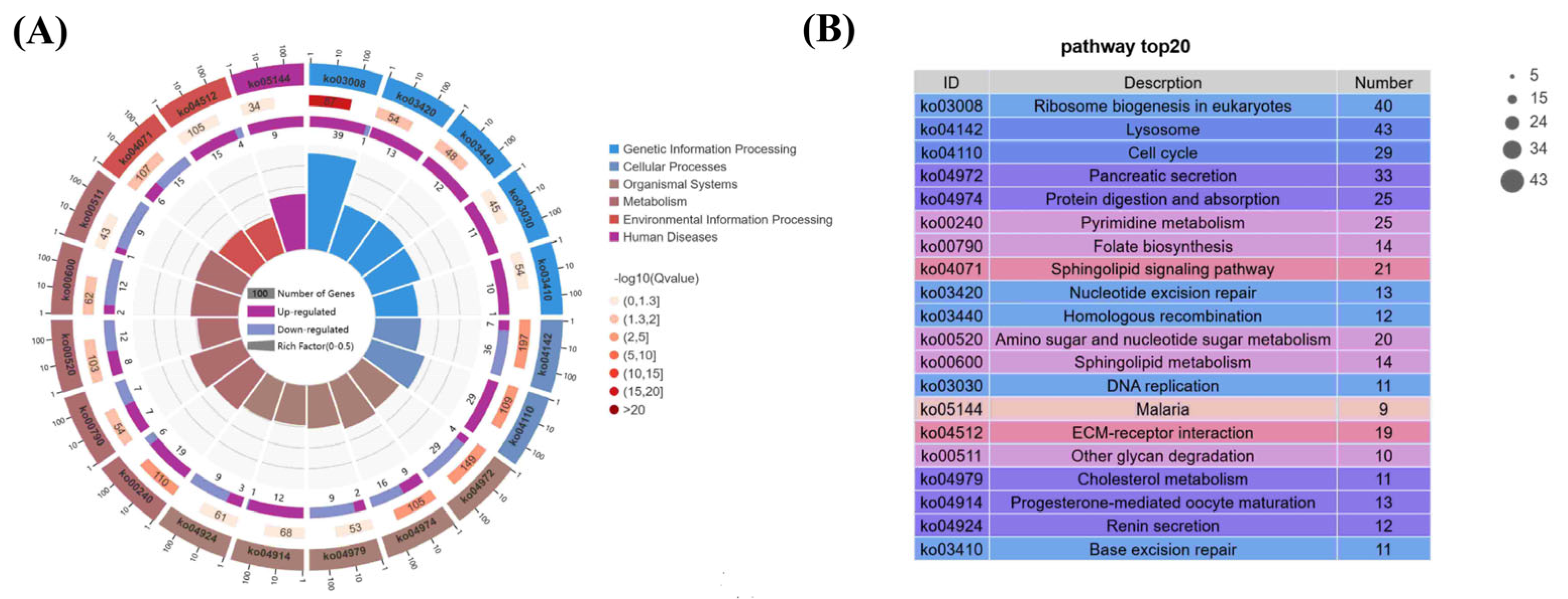 Animals 15 01792 g007