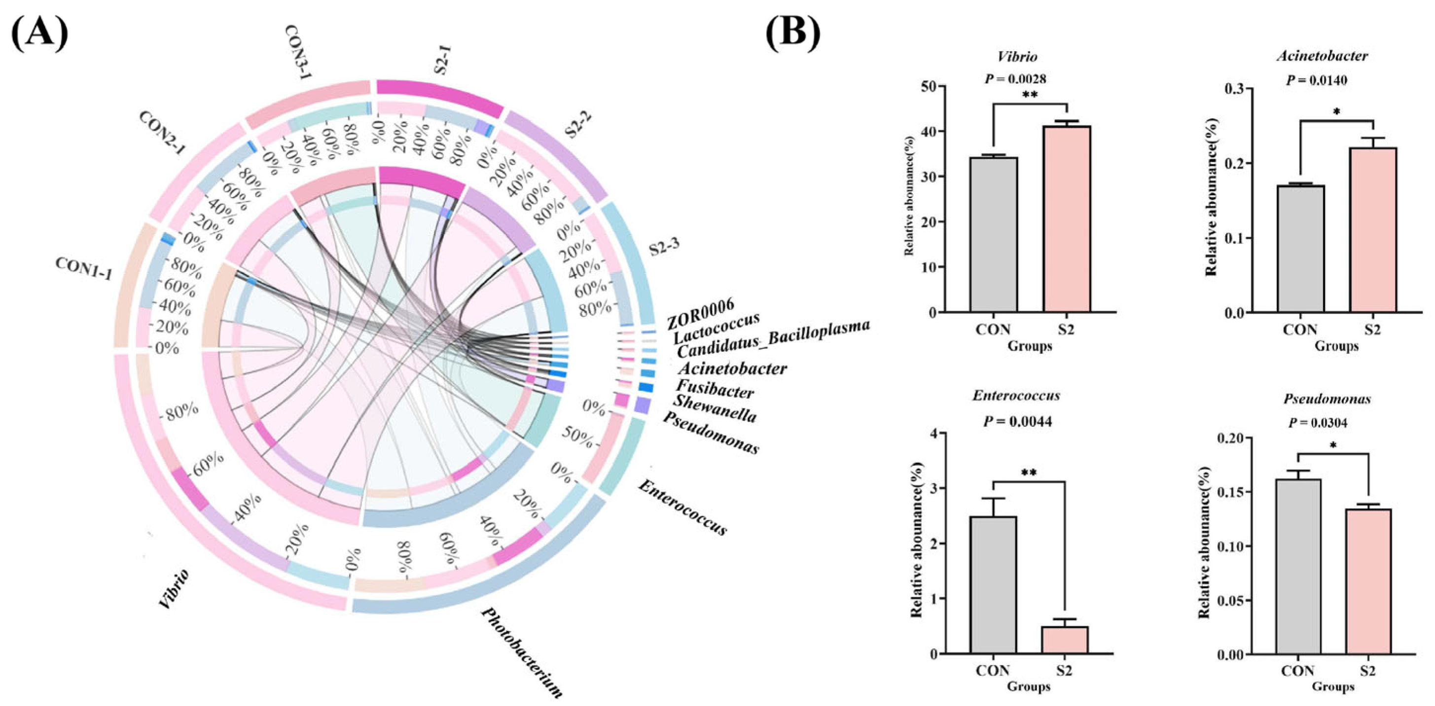 Animals 15 01792 g010