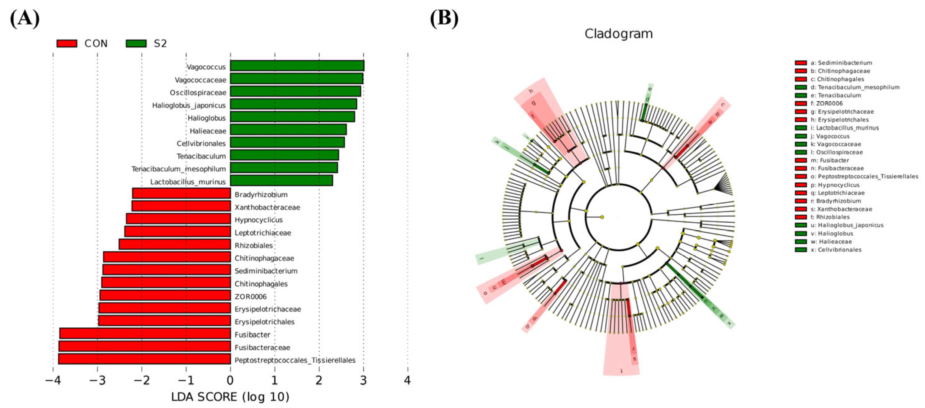 Animals 15 01792 g011