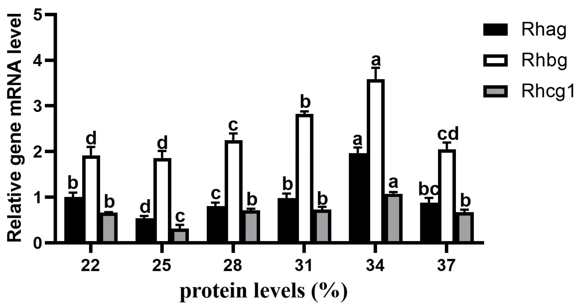 Animals 15 01800 g005