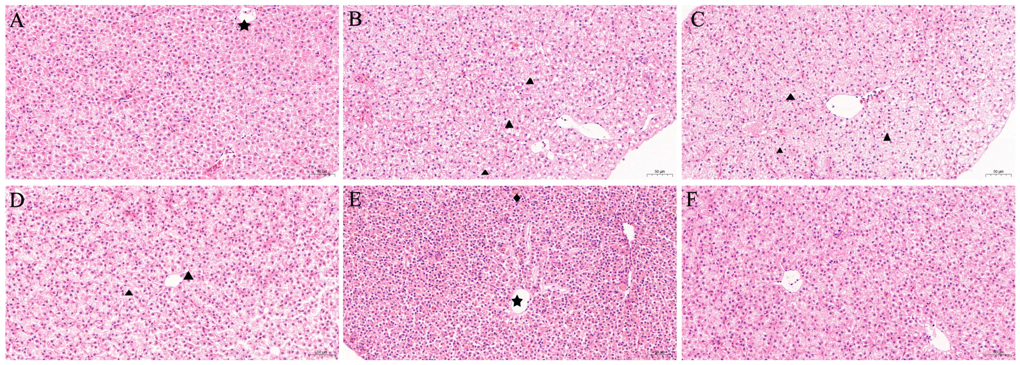 Animals 15 01811 g005