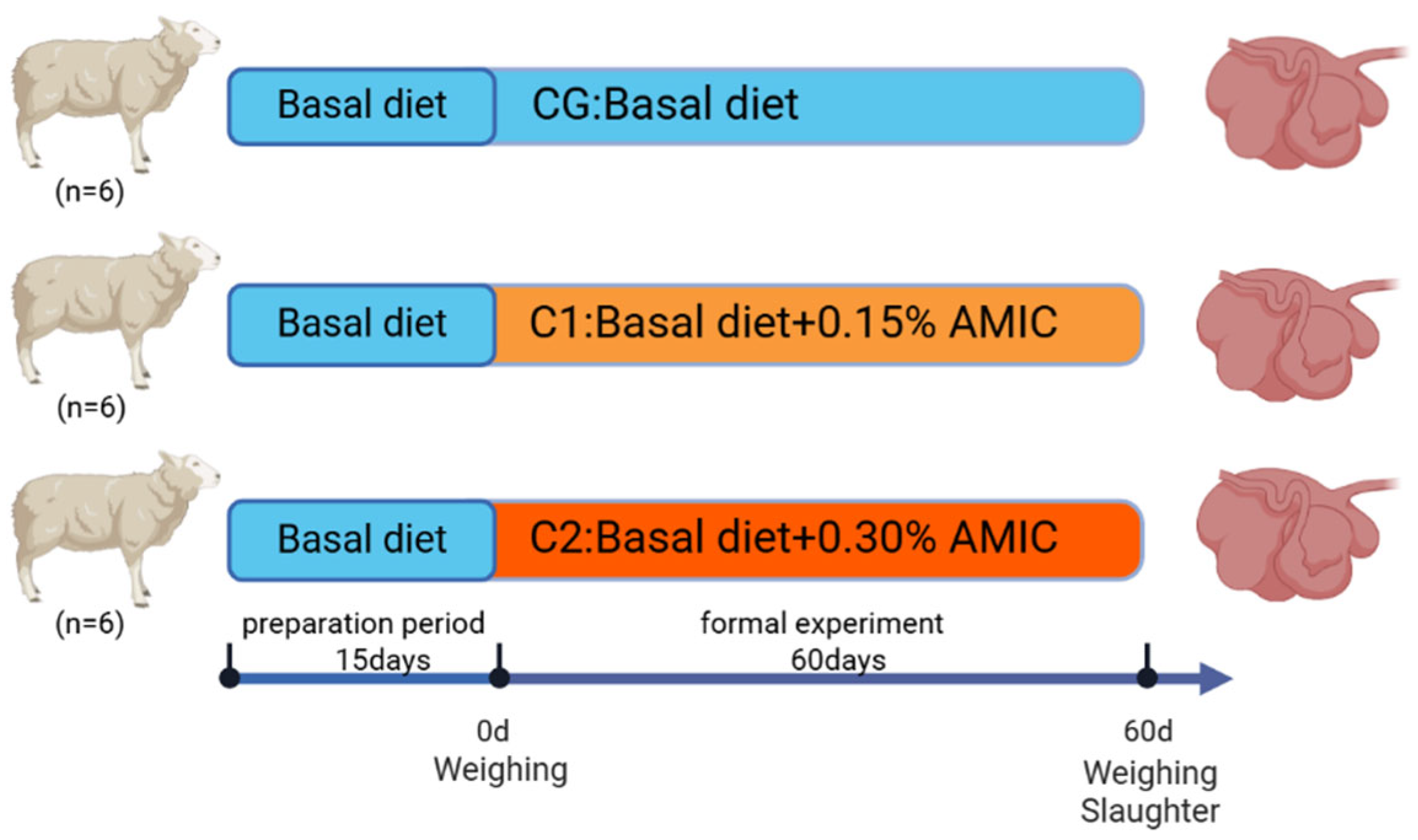 Animals 15 01816 g001