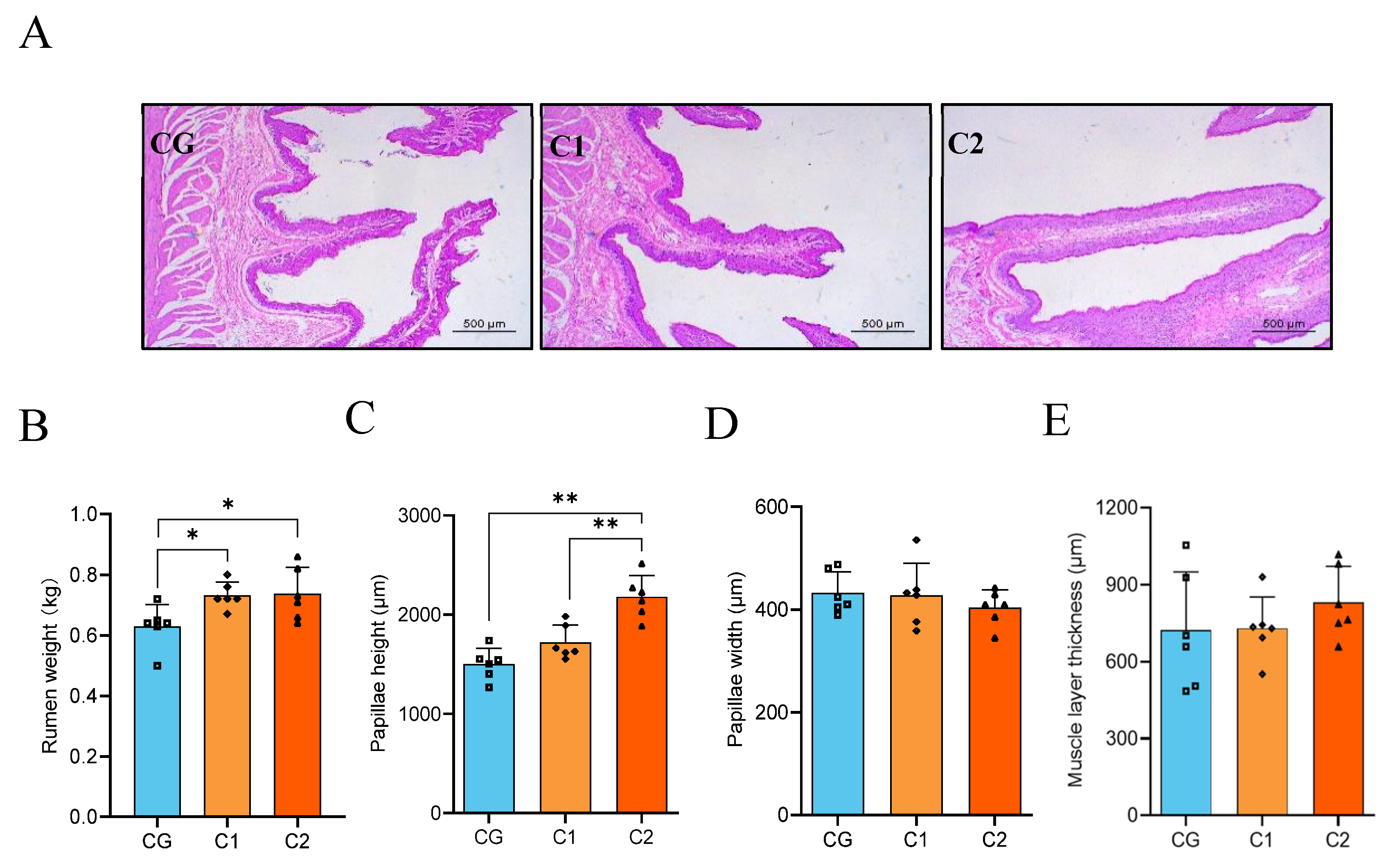 Animals 15 01816 g003