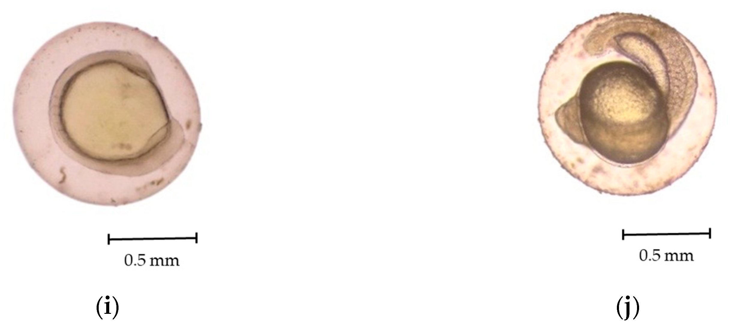 Animals 15 01823 g003b