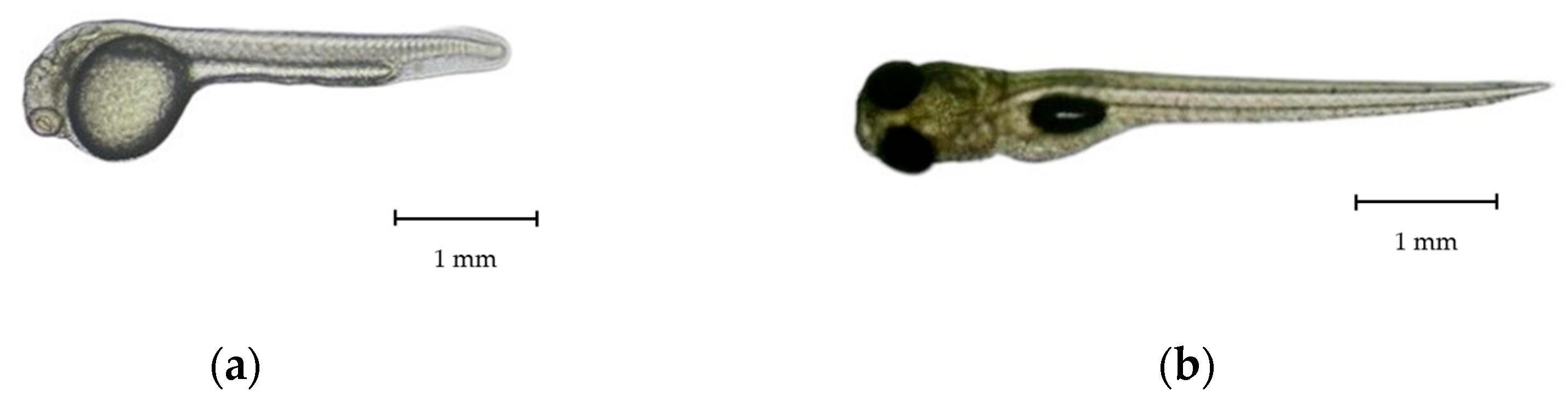 Animals 15 01823 g004