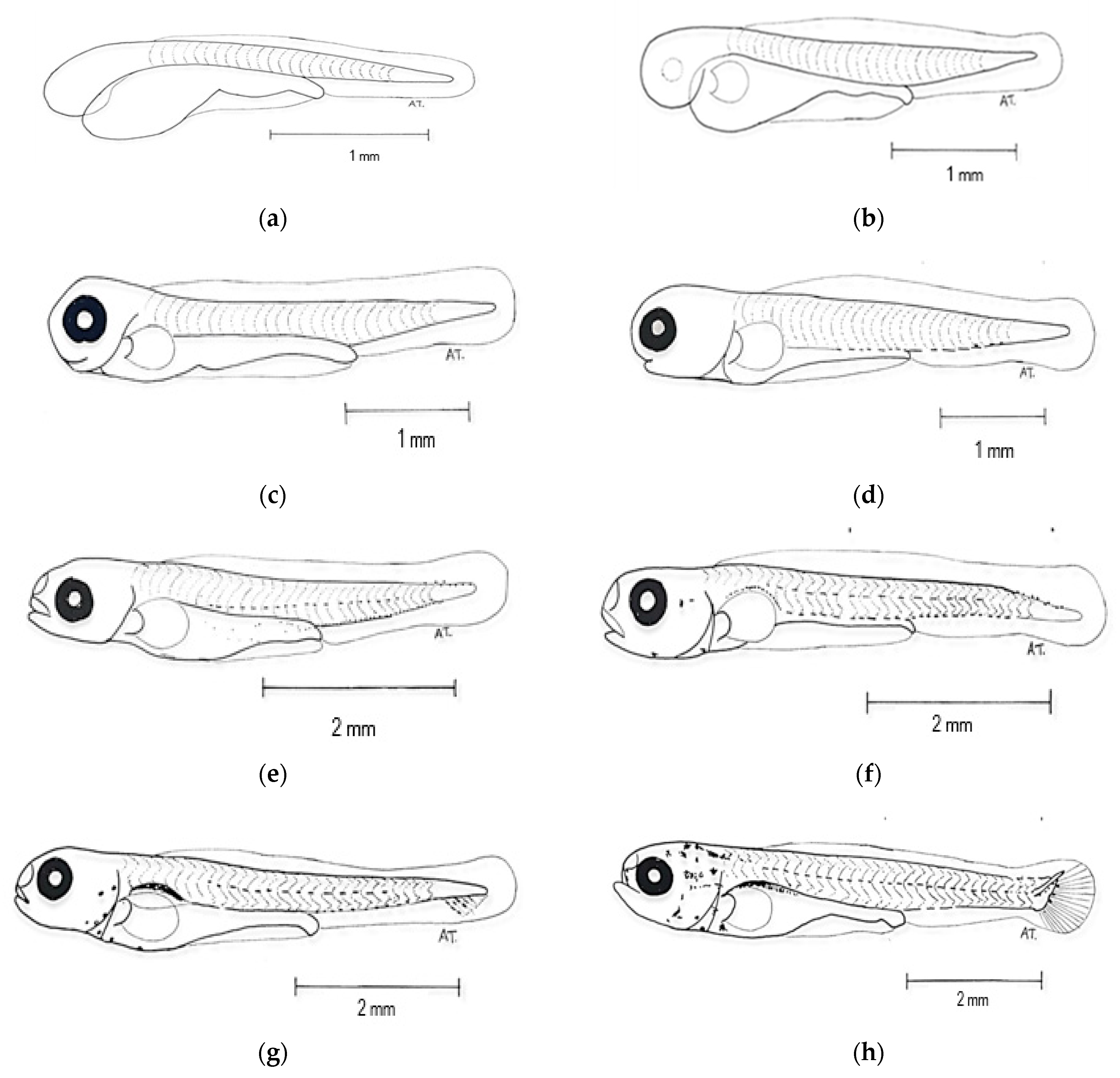 Animals 15 01823 g006a