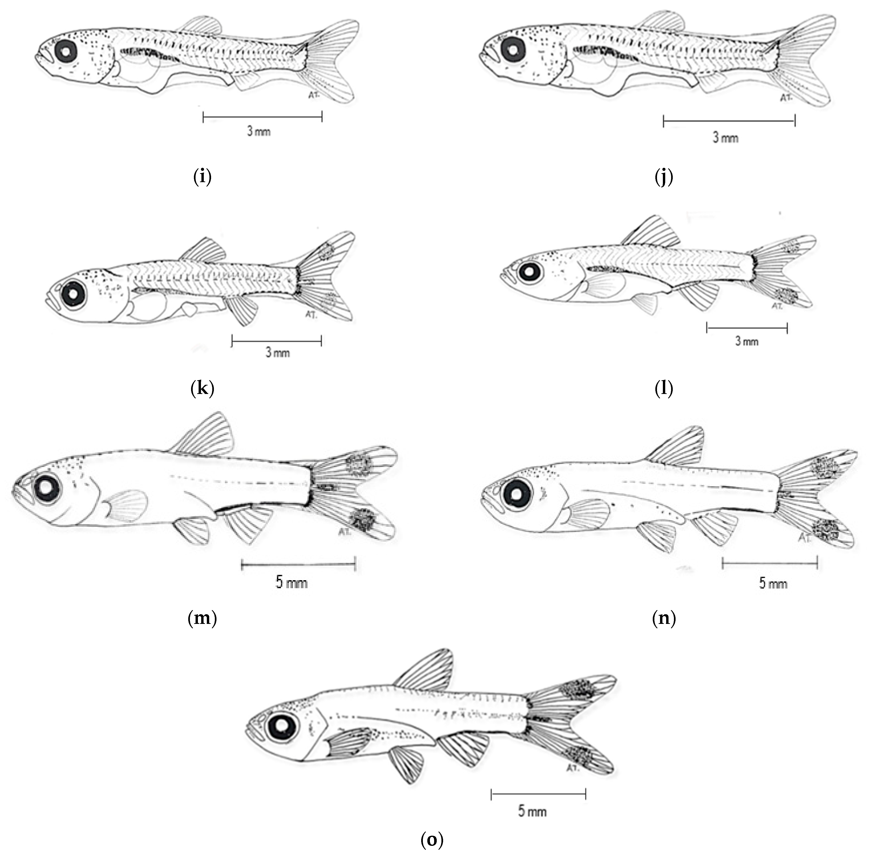 Animals 15 01823 g006b