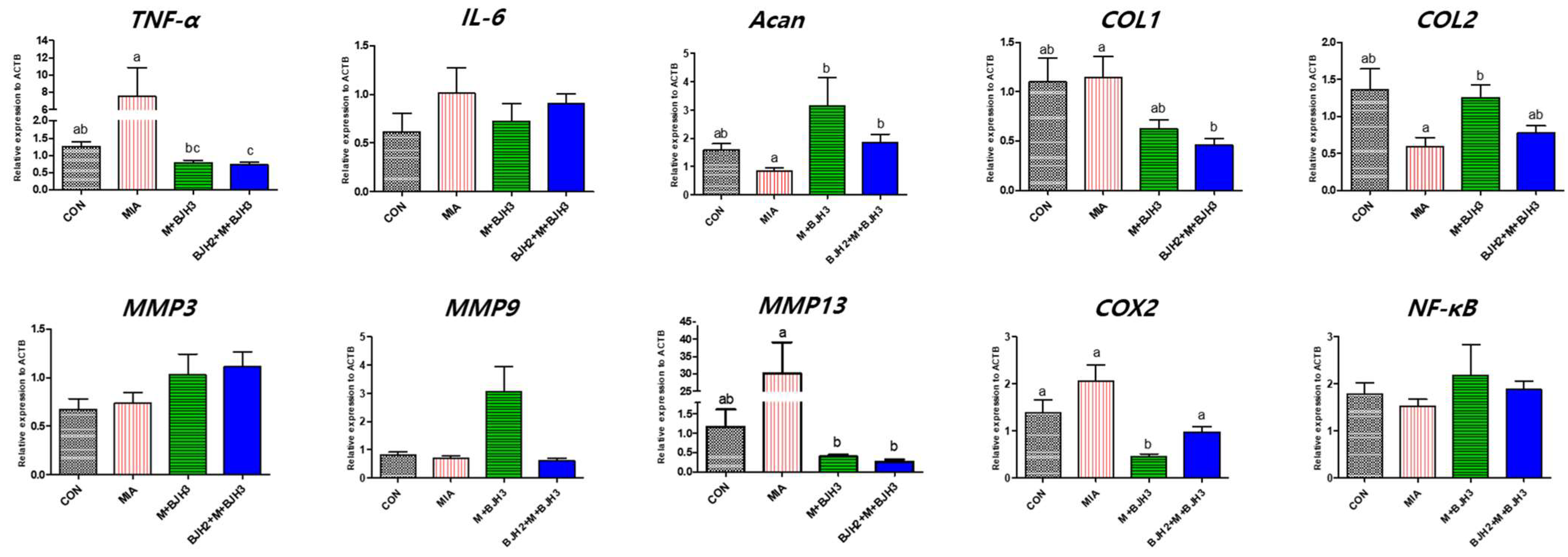 Animals 15 01825 g005