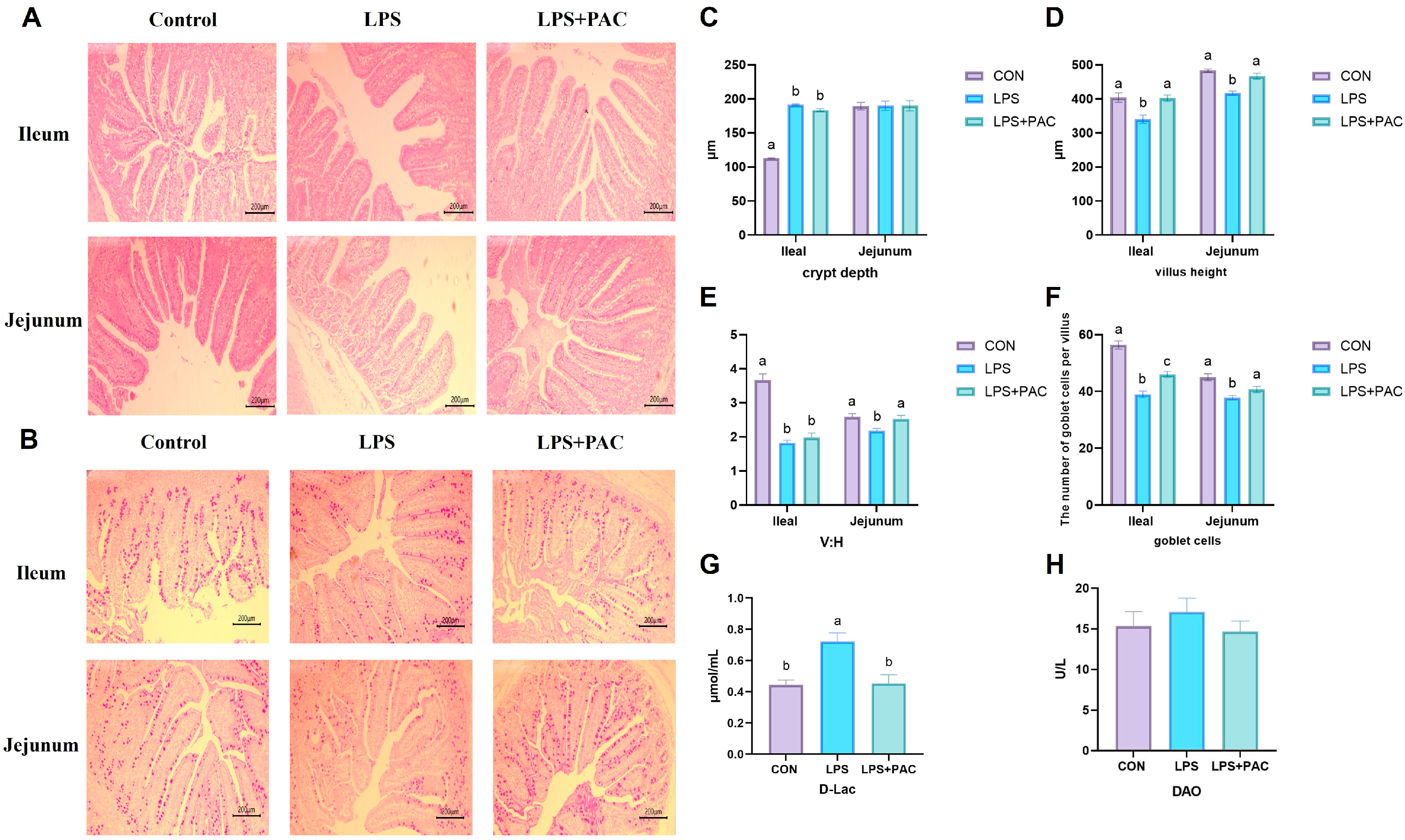 Animals 15 01826 g001