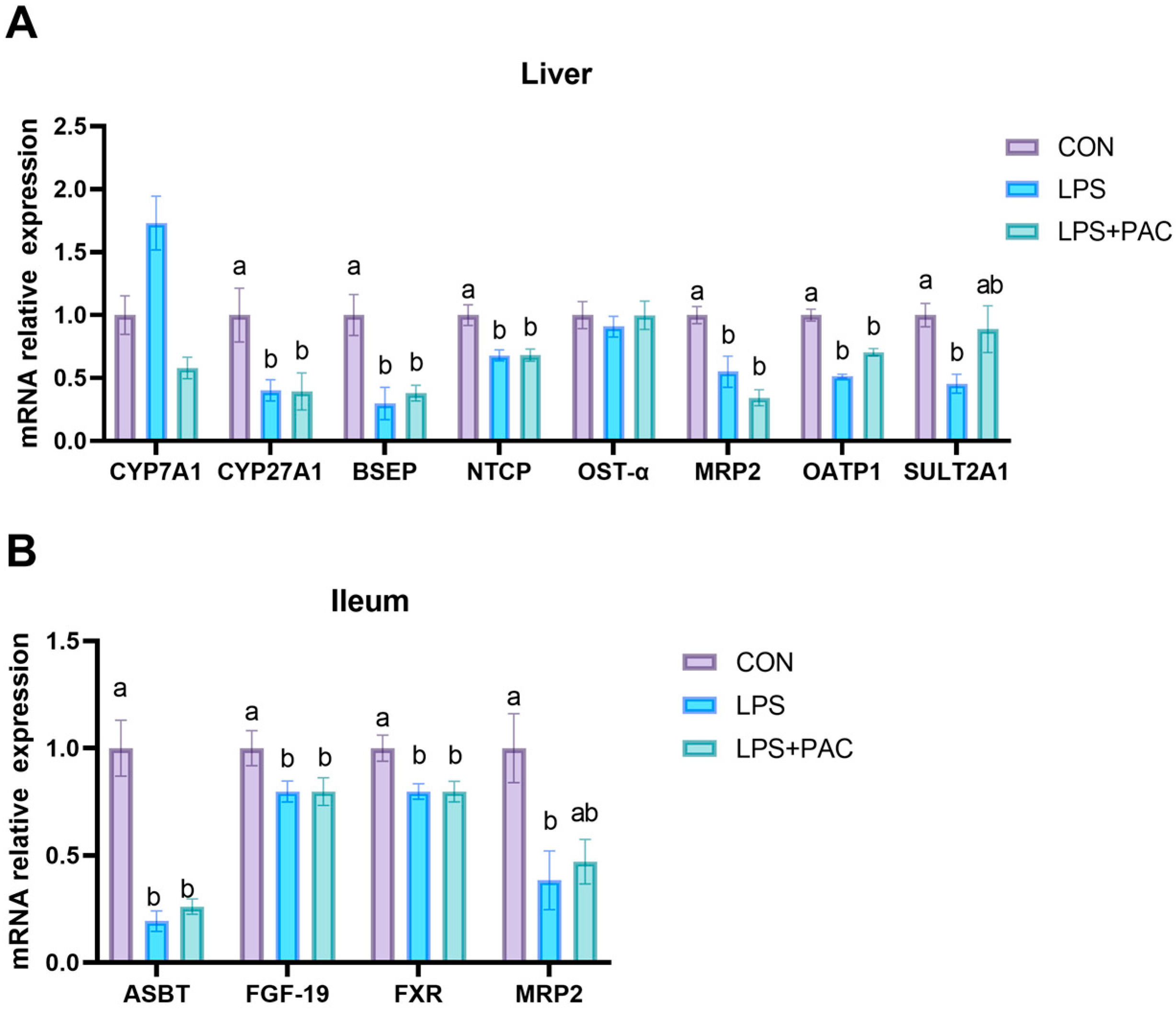 Animals 15 01826 g004