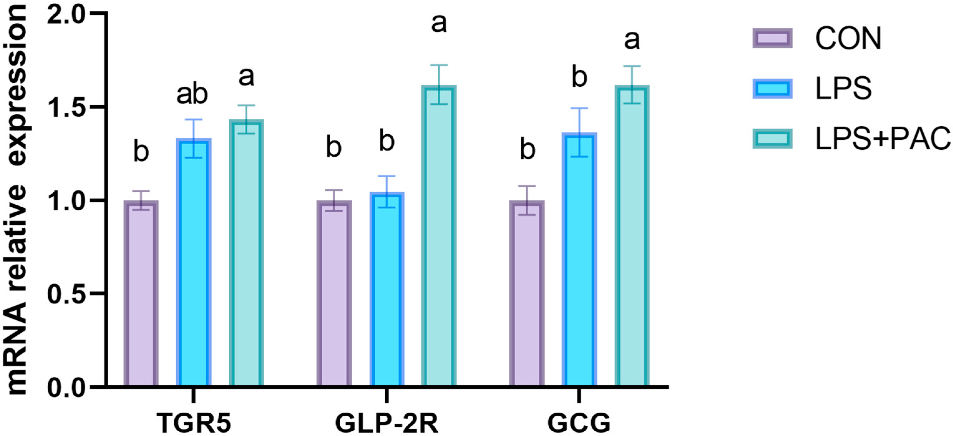 Animals 15 01826 g005