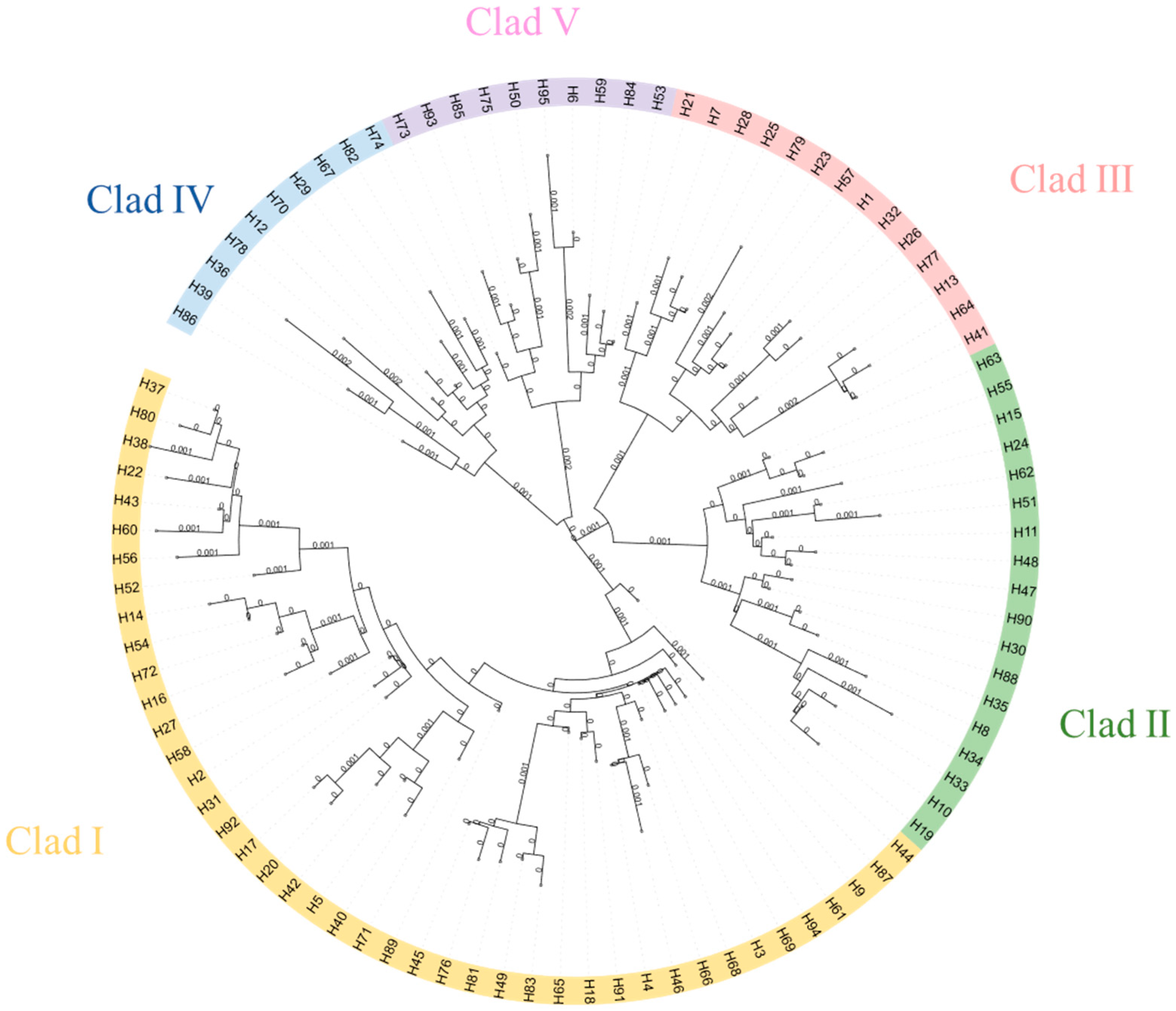 Animals 15 01827 g002
