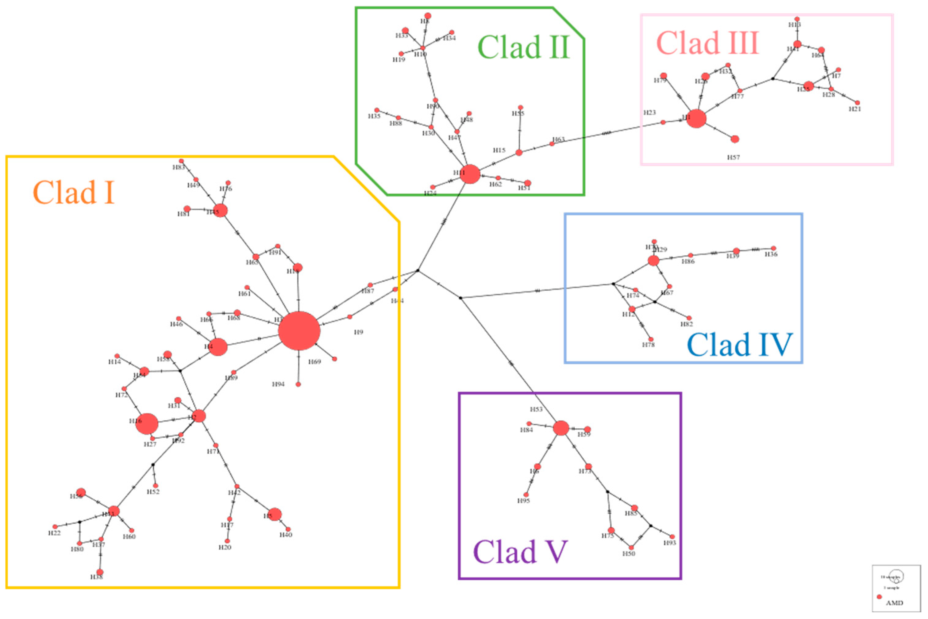 Animals 15 01827 g003