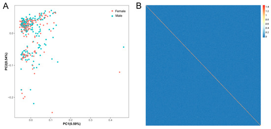 R ワゴンR 660 カスタムZ ハイブリッド ZX アップグレード