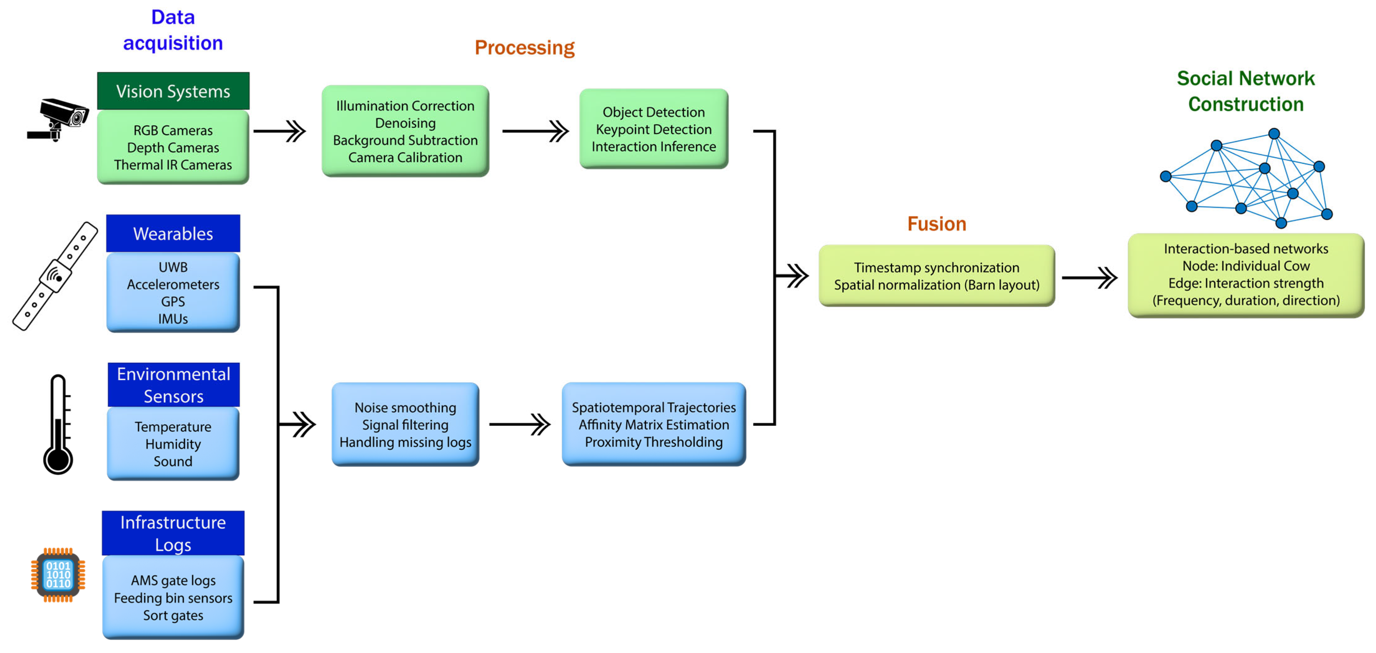 Animals 15 01835 g005