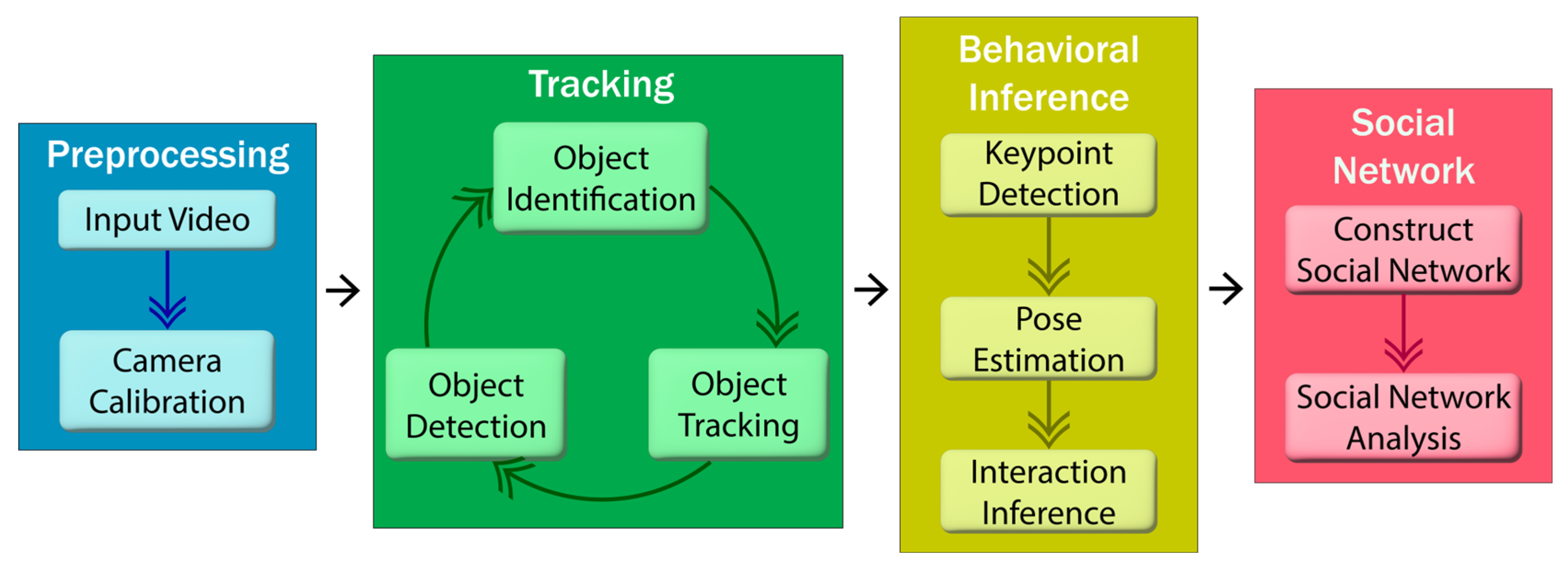 Animals 15 01835 g006