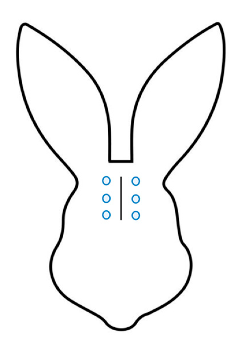 Animals 15 01843 g001