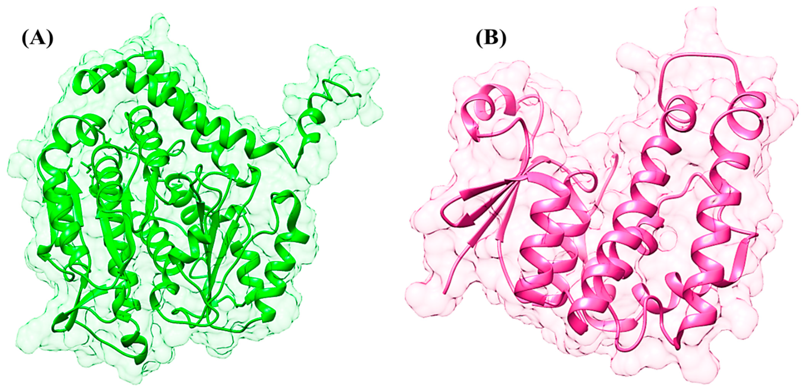 Animals 15 01846 g001