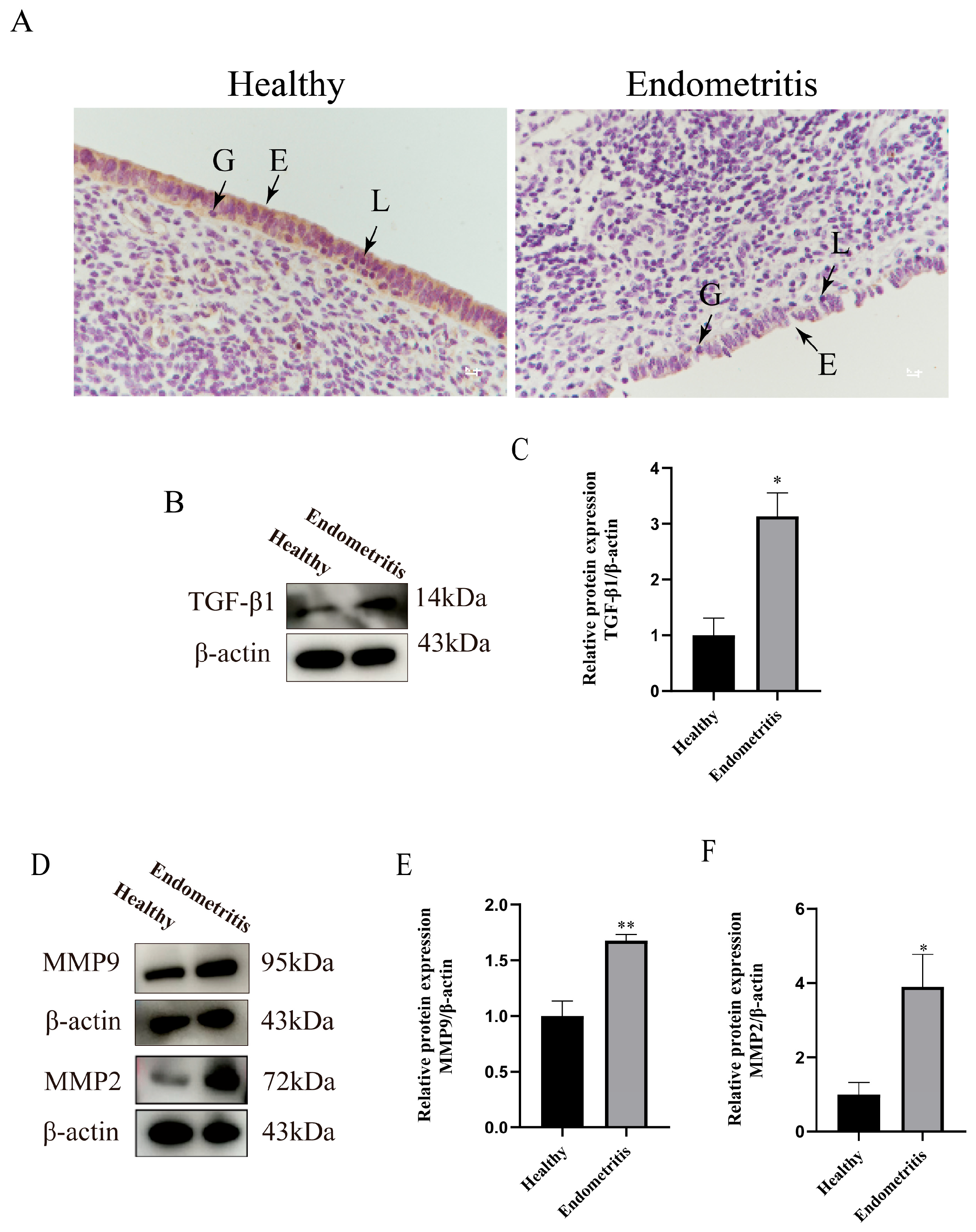 Animals 15 01847 g002