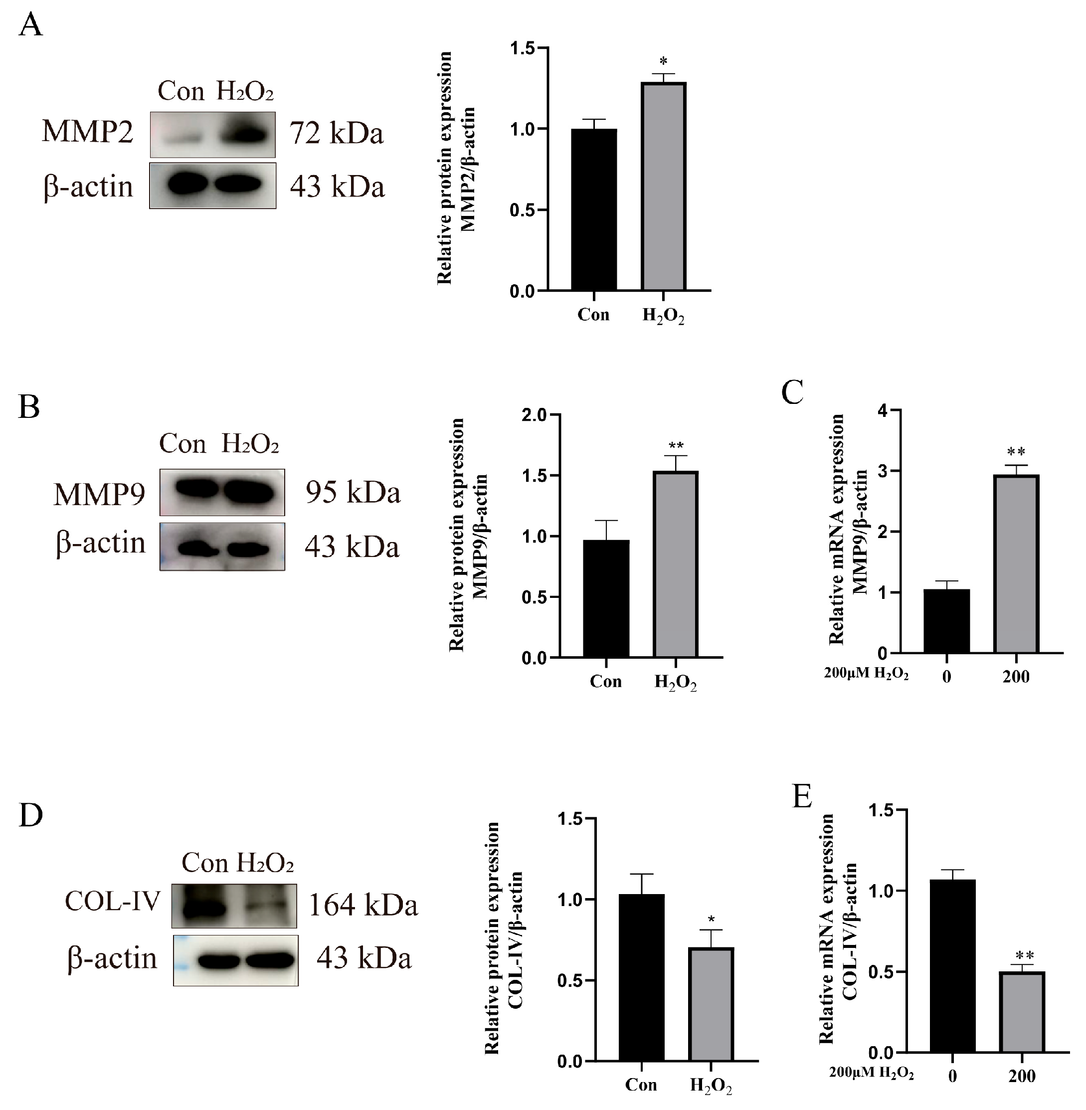 Animals 15 01847 g005