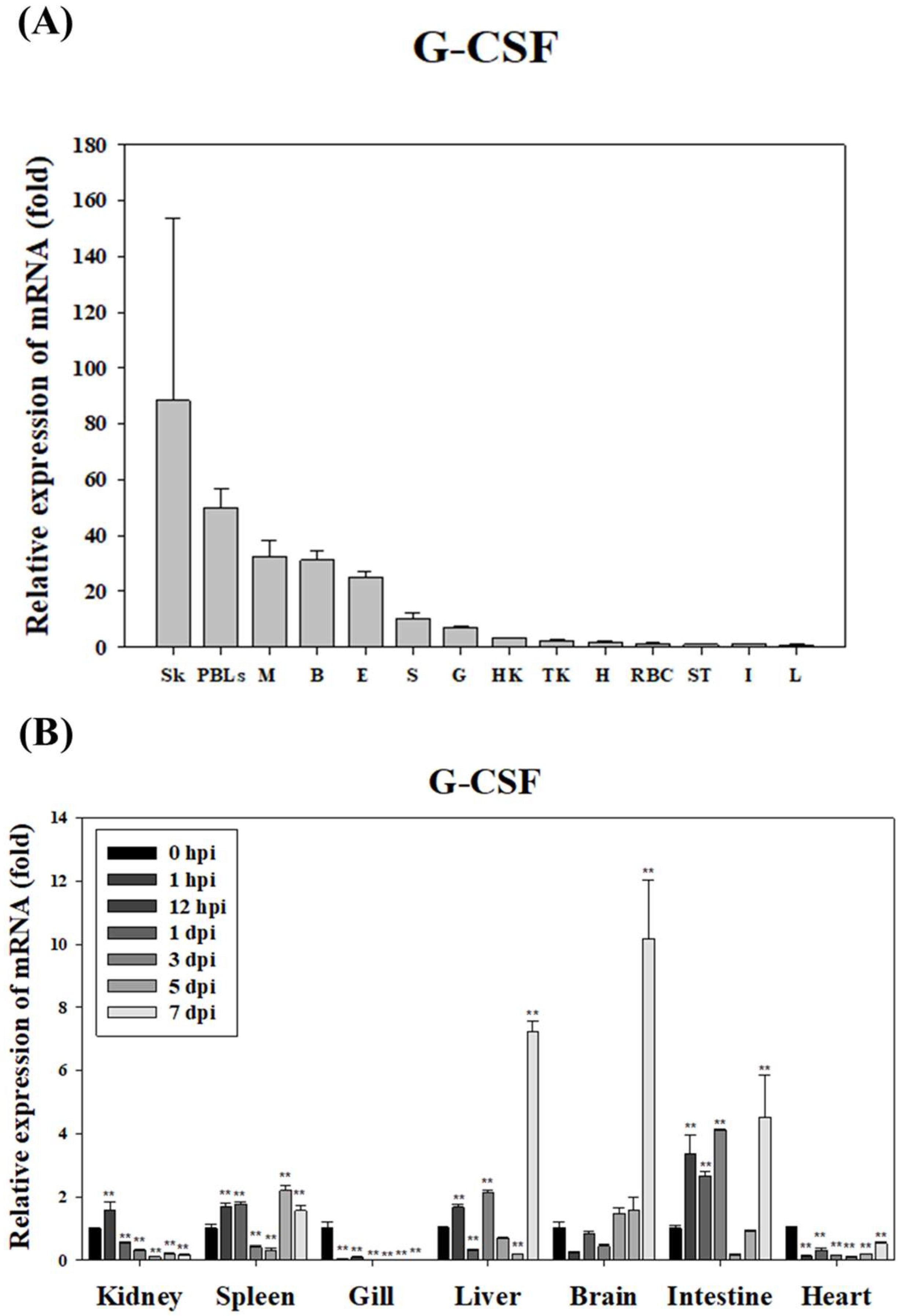 Animals 15 01848 g005