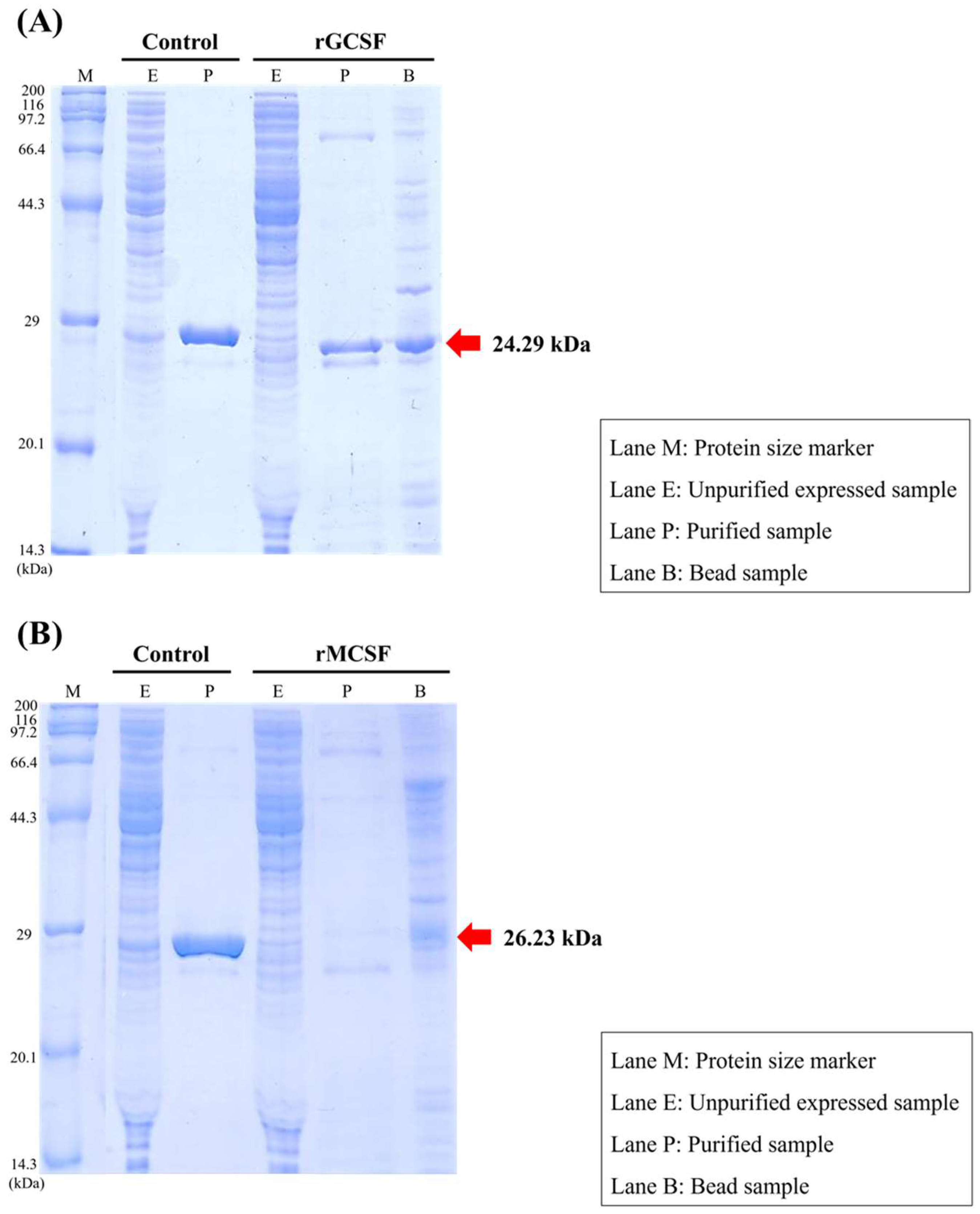 Animals 15 01848 g007