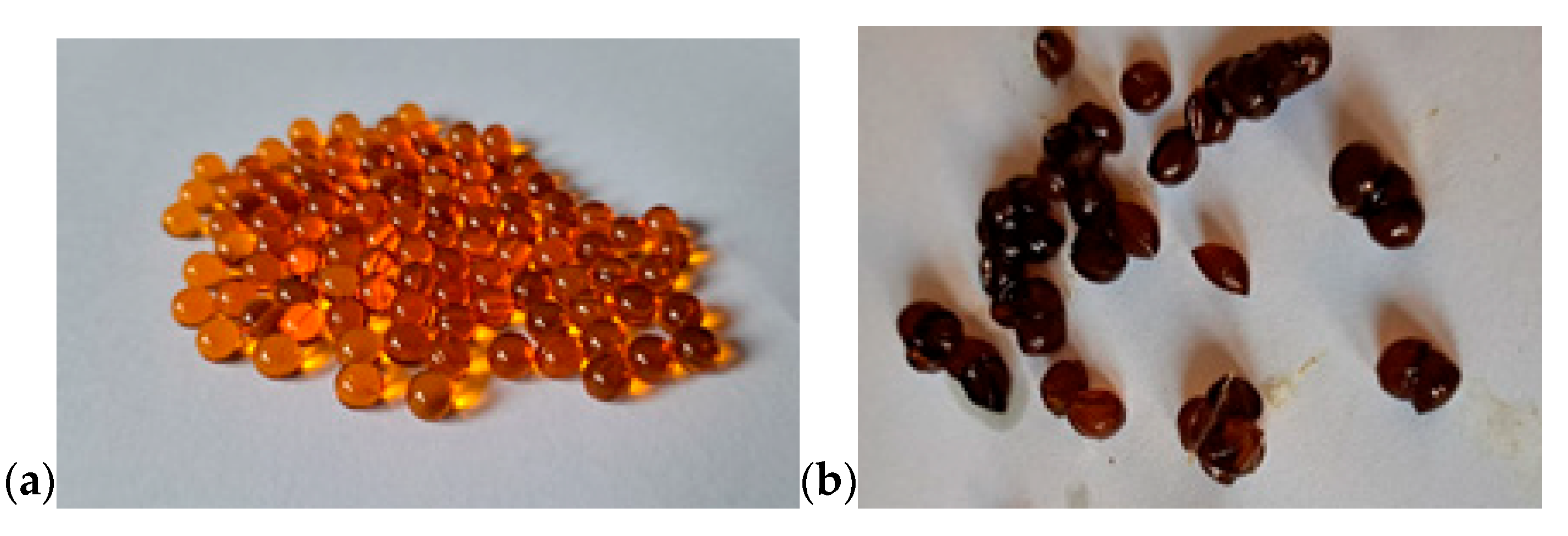 Animals 15 01856 g001