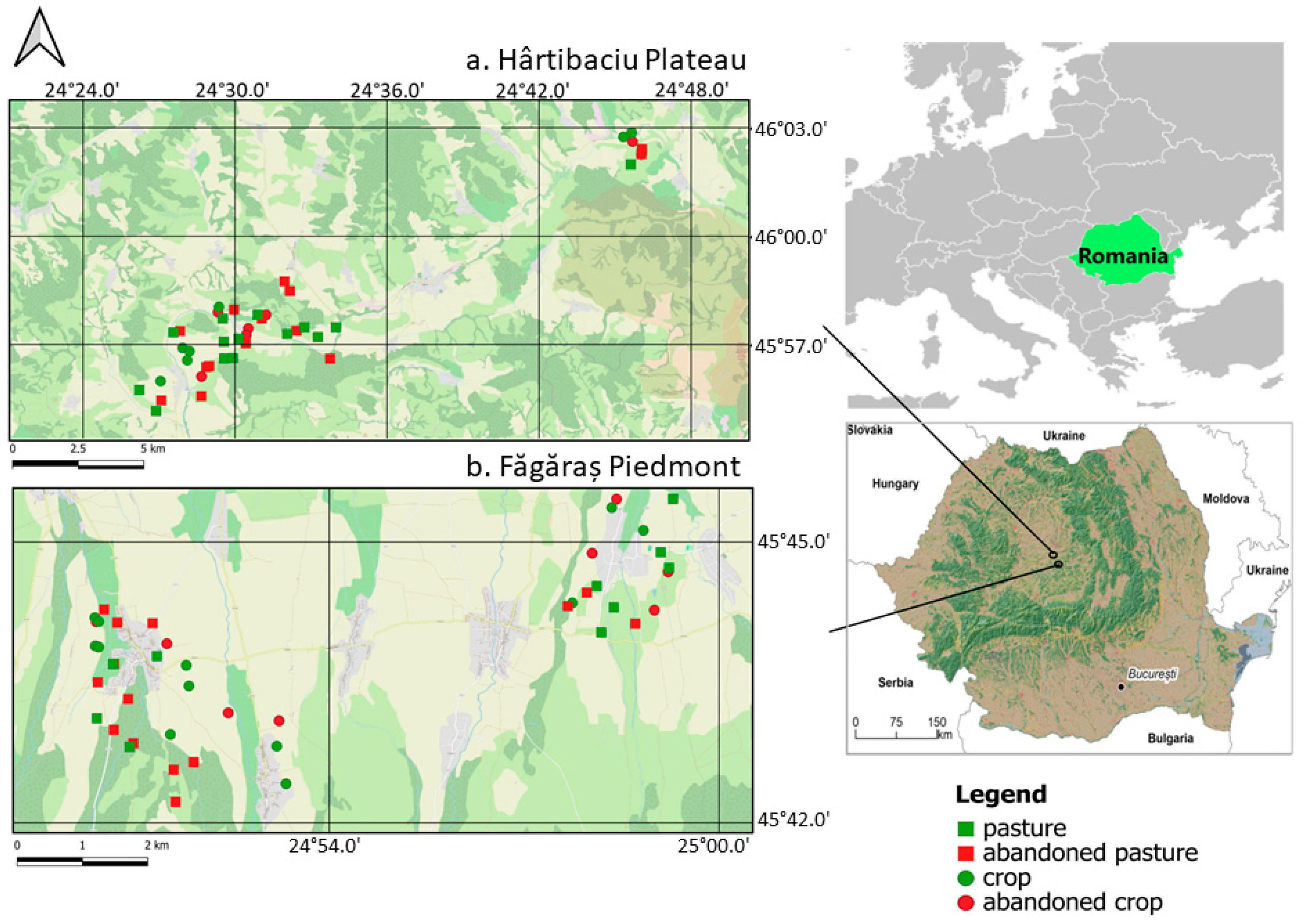 Animals 15 01857 g001