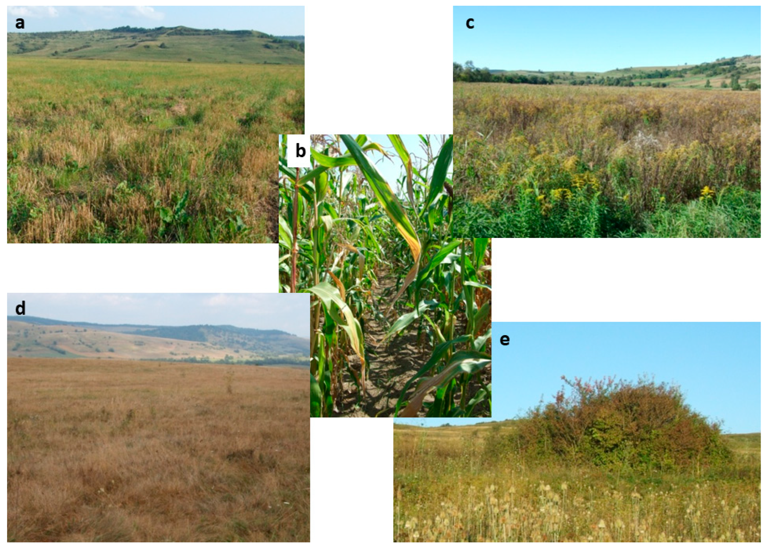 Animals 15 01857 g002