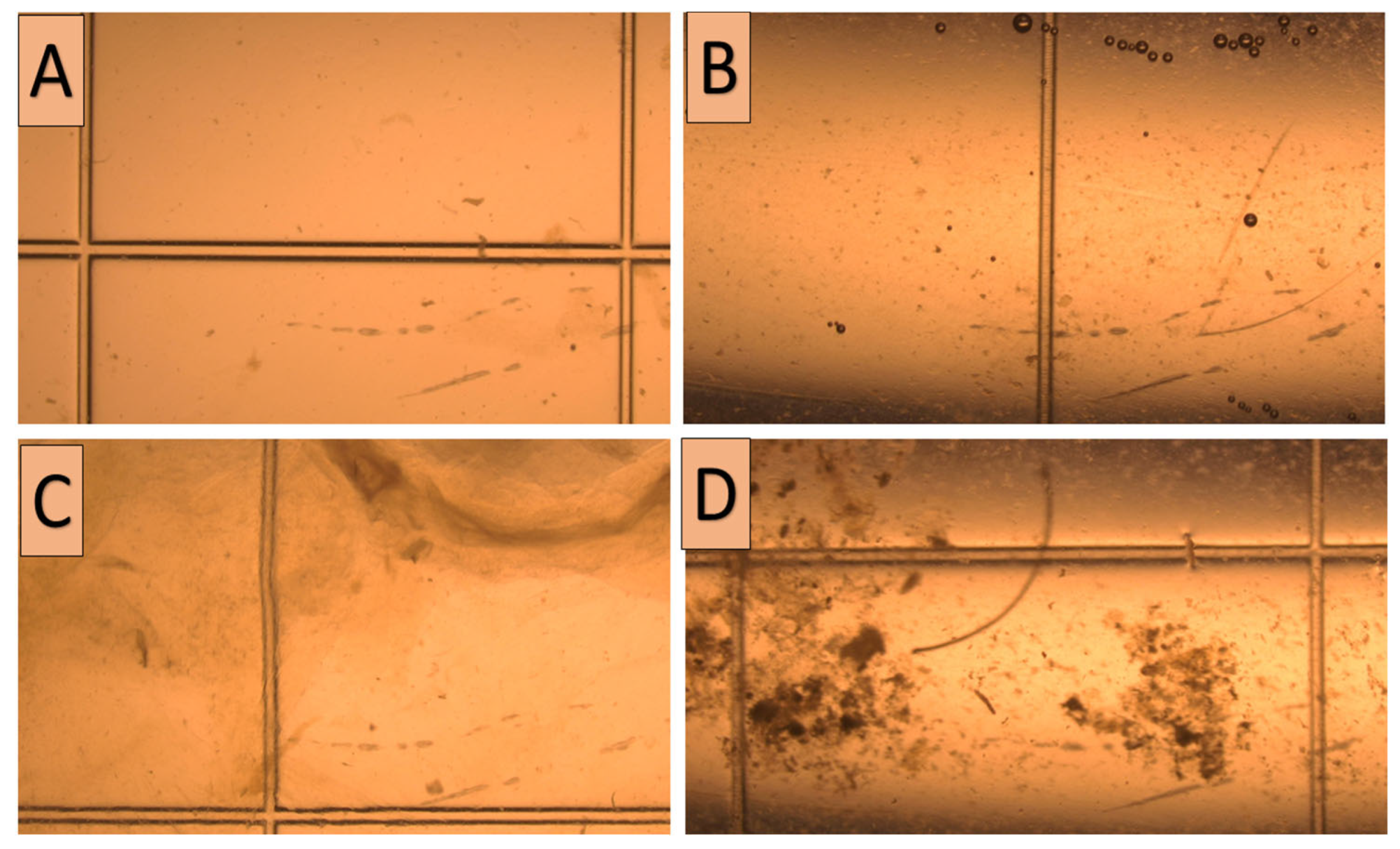 Animals 15 01859 g003