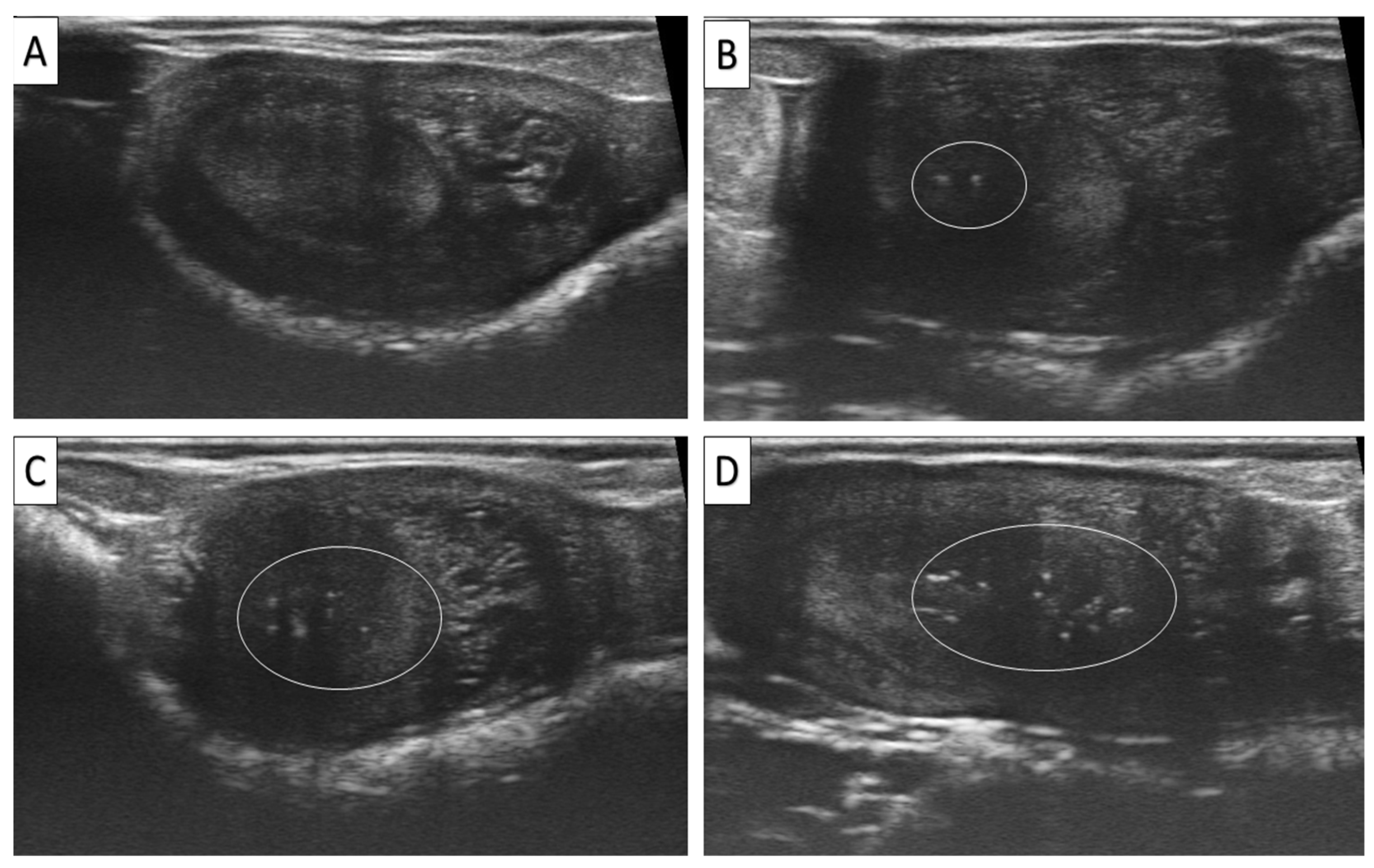 Animals 15 01859 g005