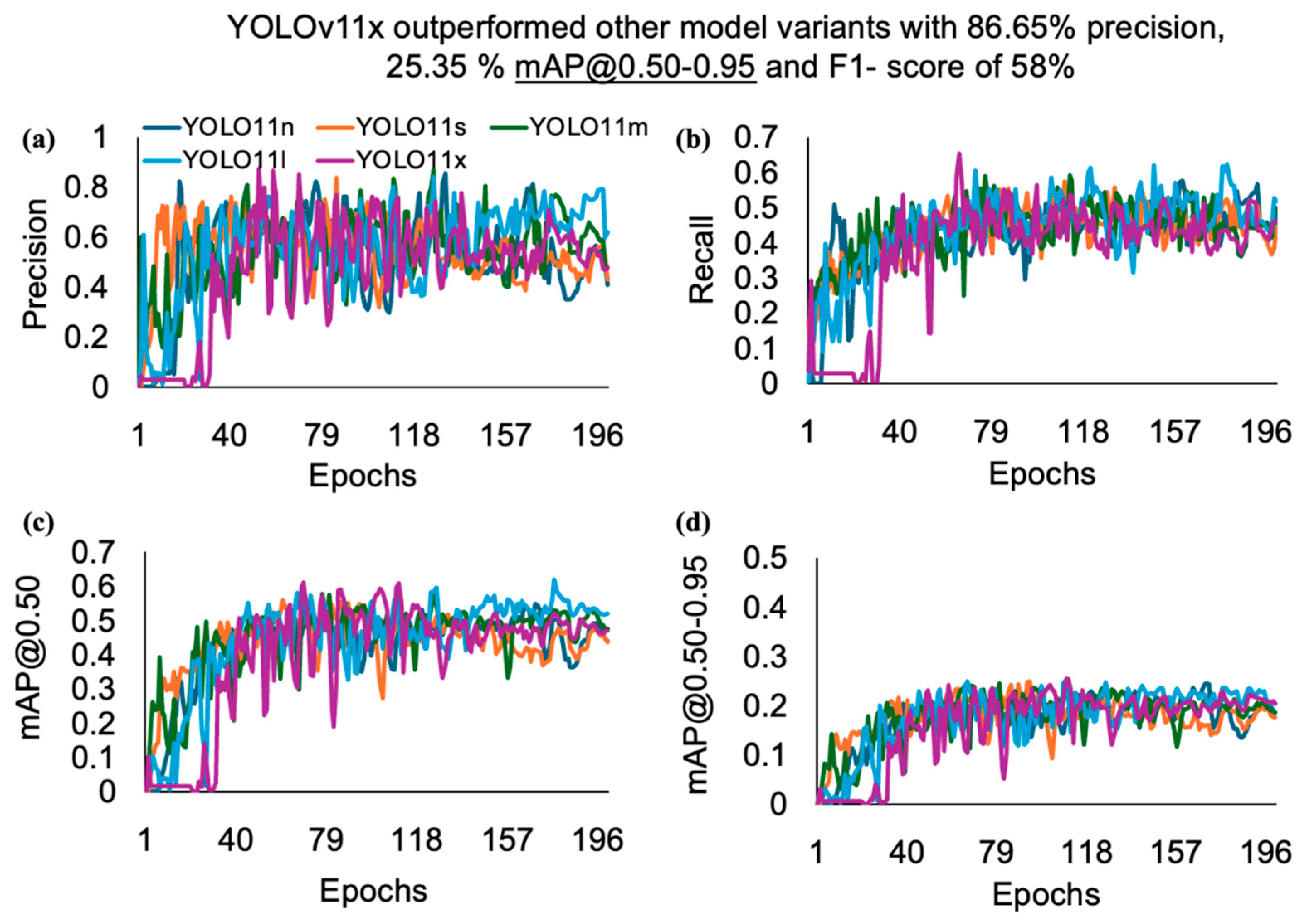 Animals 15 01862 g005