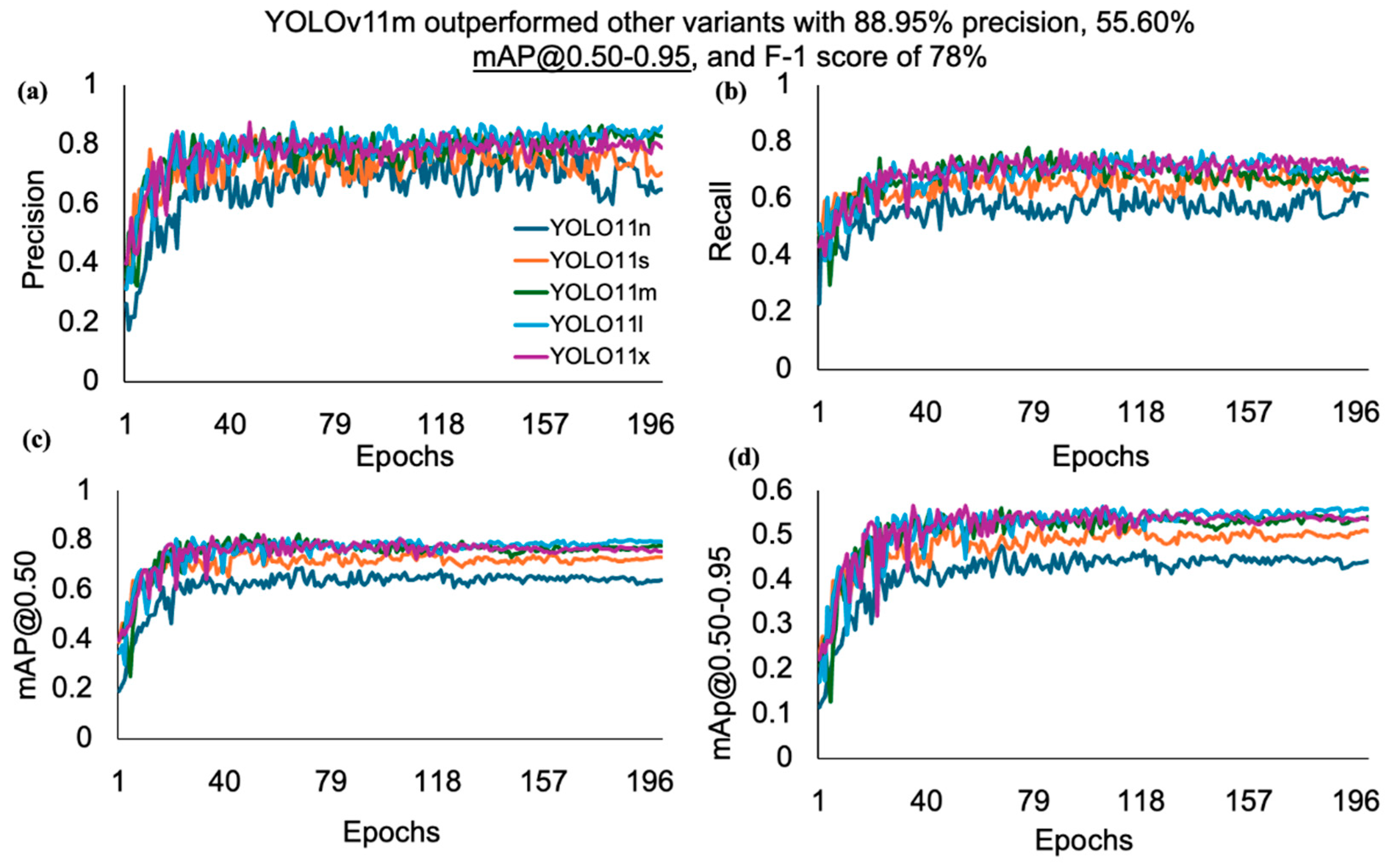 Animals 15 01862 g007