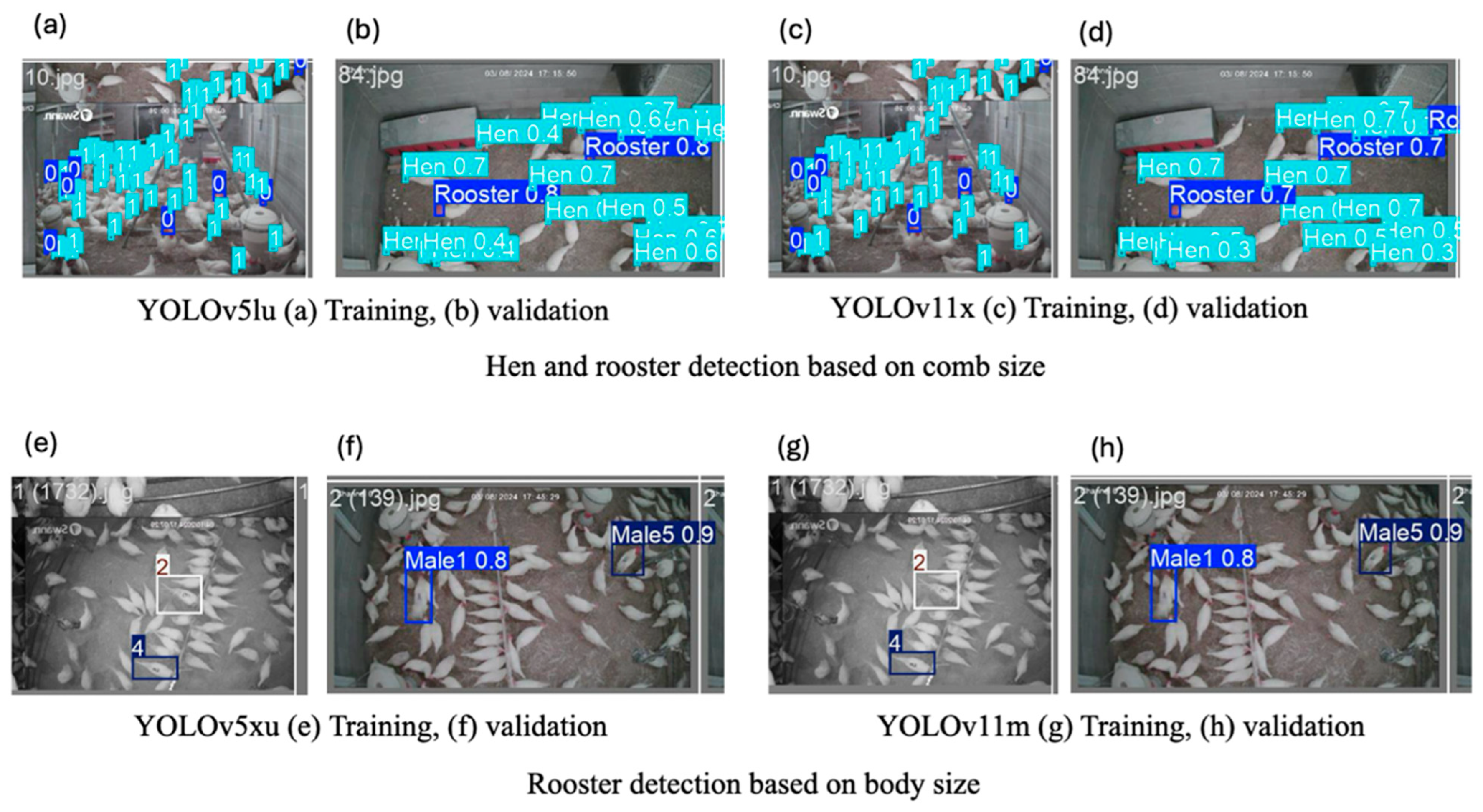 Animals 15 01862 g008