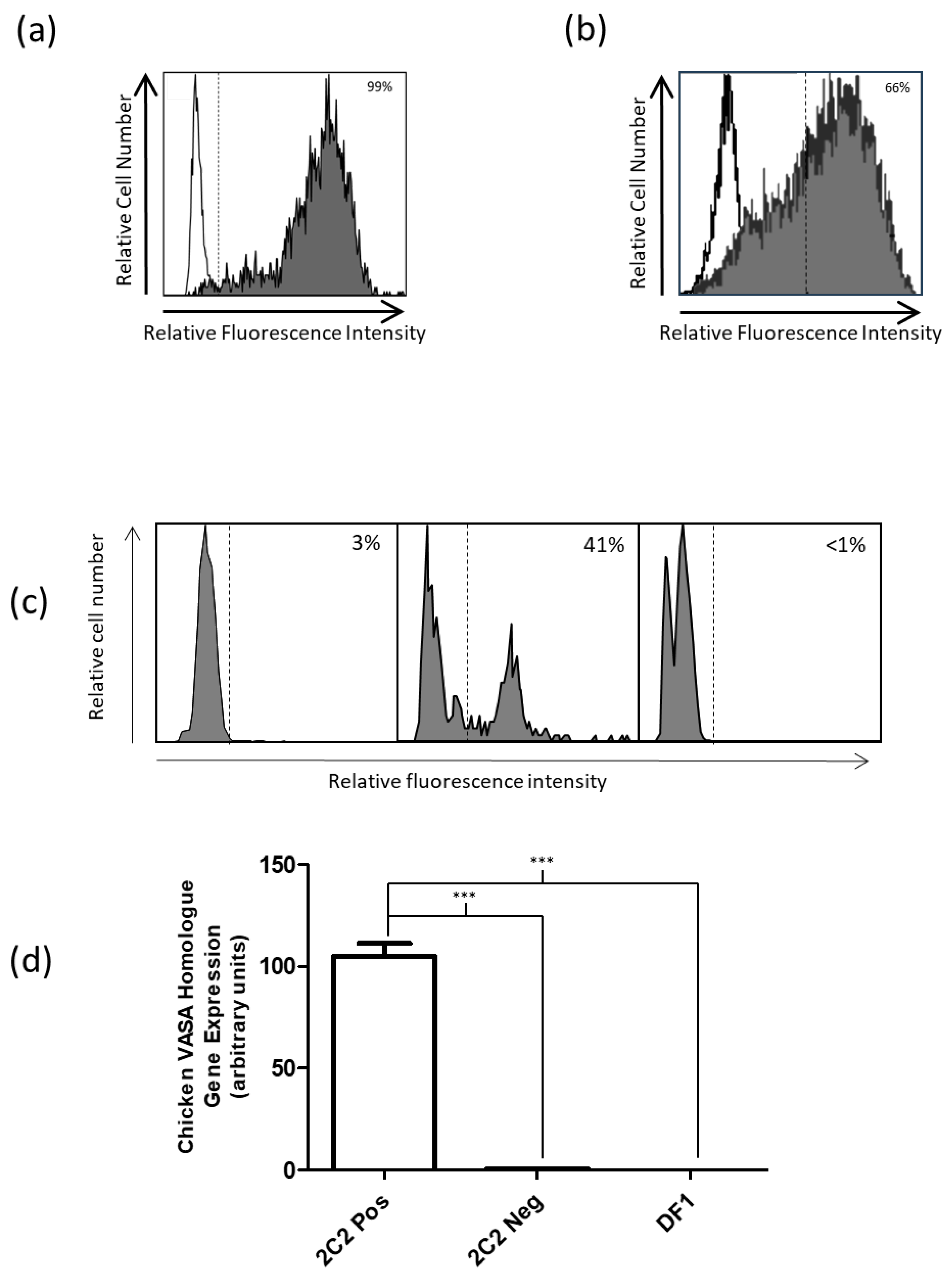 Animals 15 01868 g001